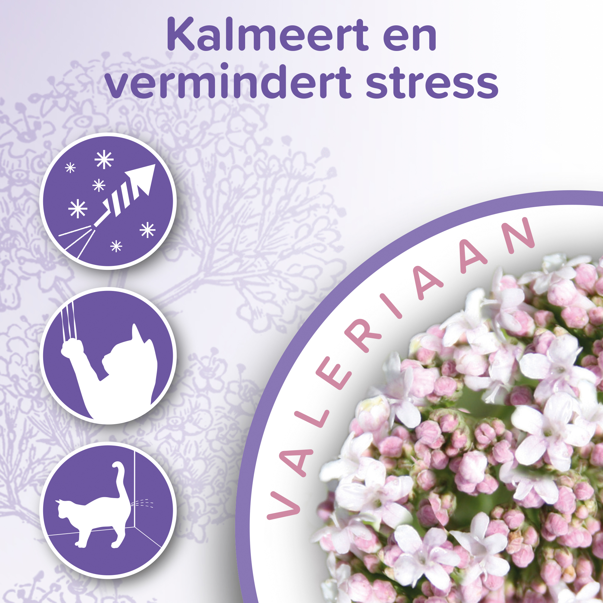 Beaphar No Stress Band kat