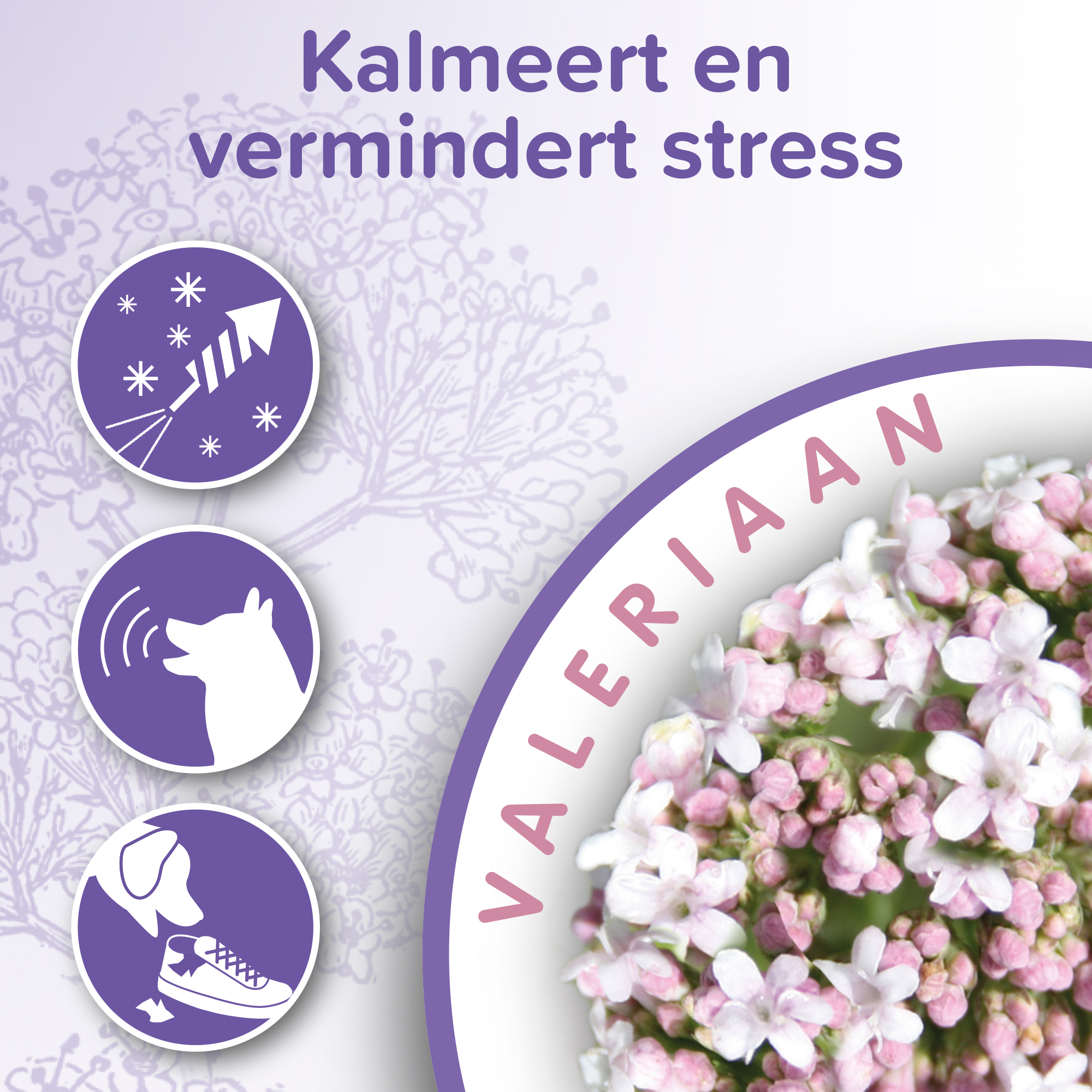 Beaphar No Stress Band hond