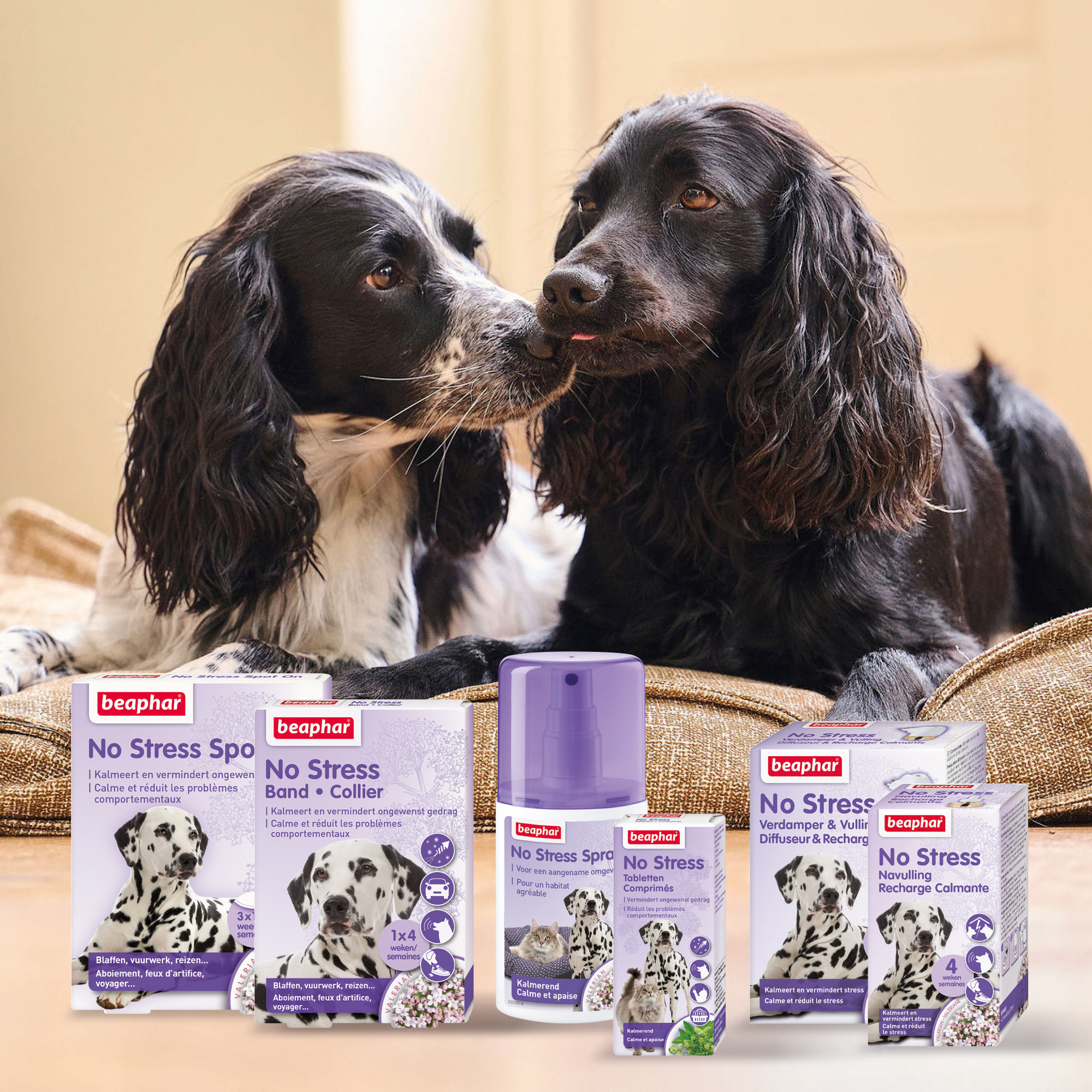 Beaphar No Stress Band hond