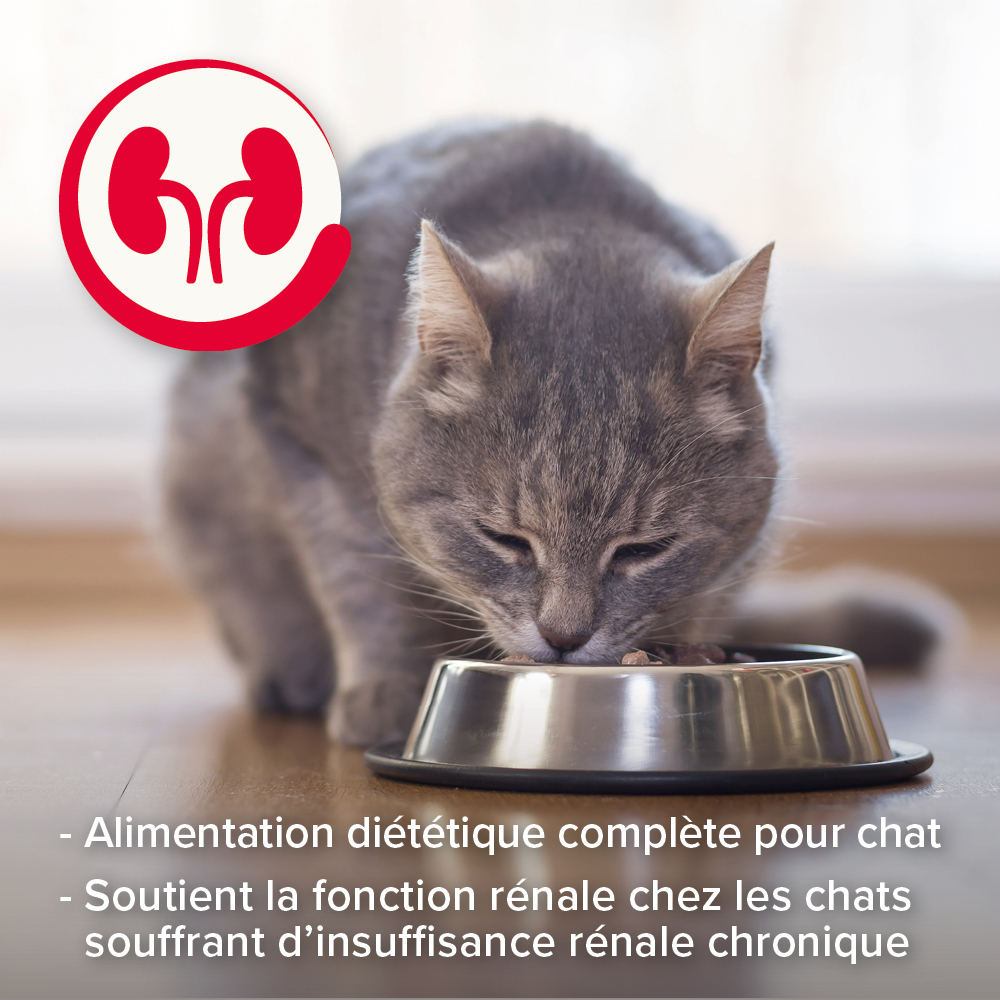Multipack Pâtées Rénales pour chat - 6 x 100 g