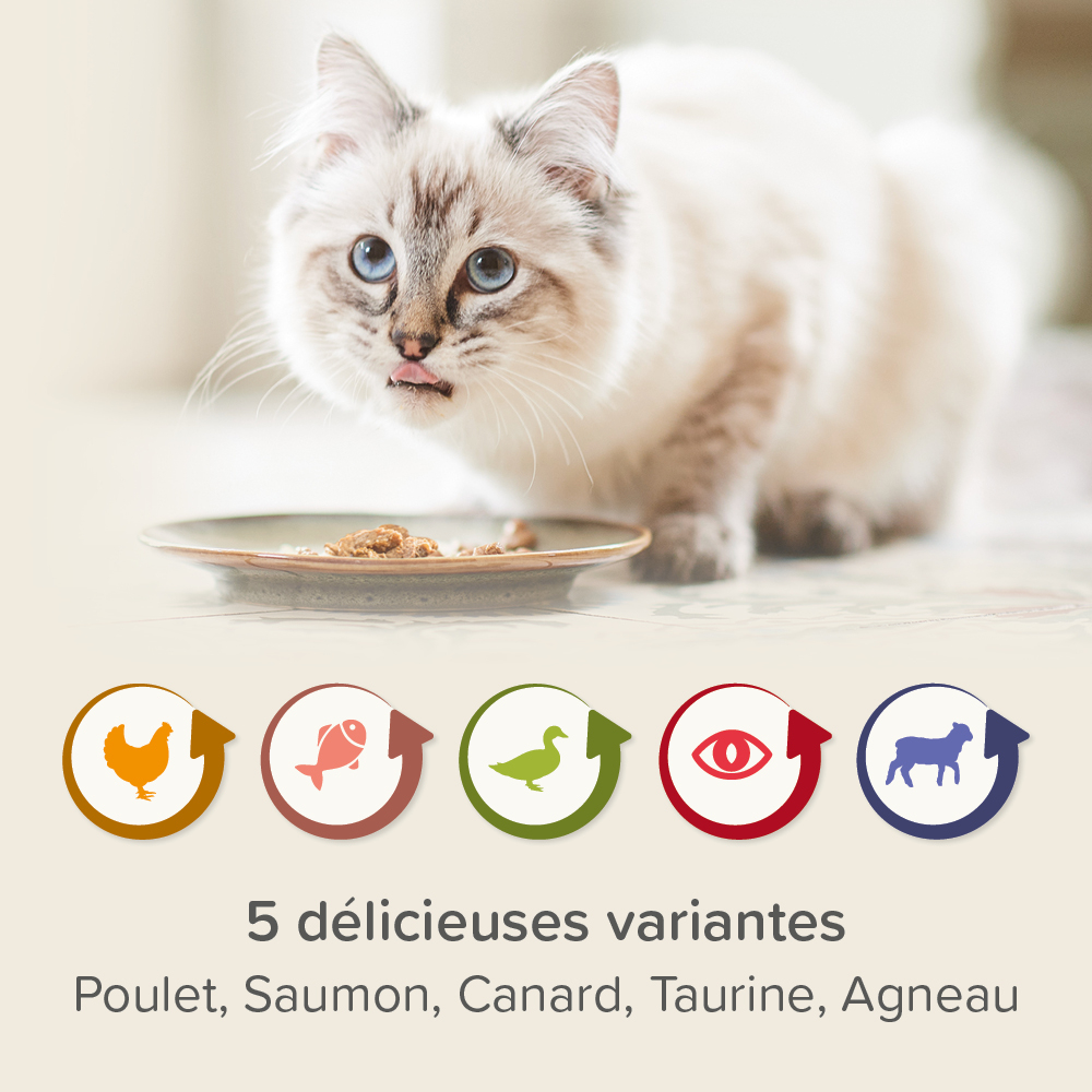 Multipack Pâtées Rénales pour chat - 6 x 100 g