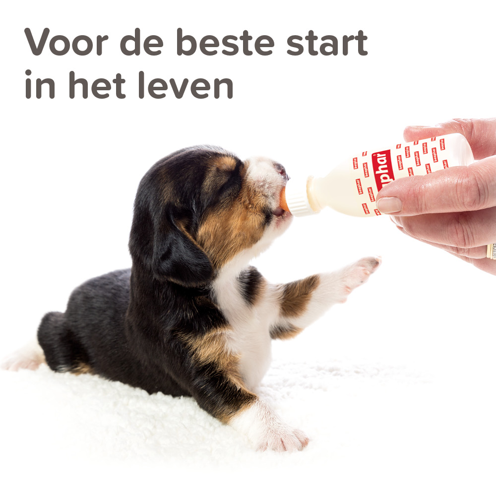 Beaphar Lactol Voedingsset (zuigflesje + speentjes)