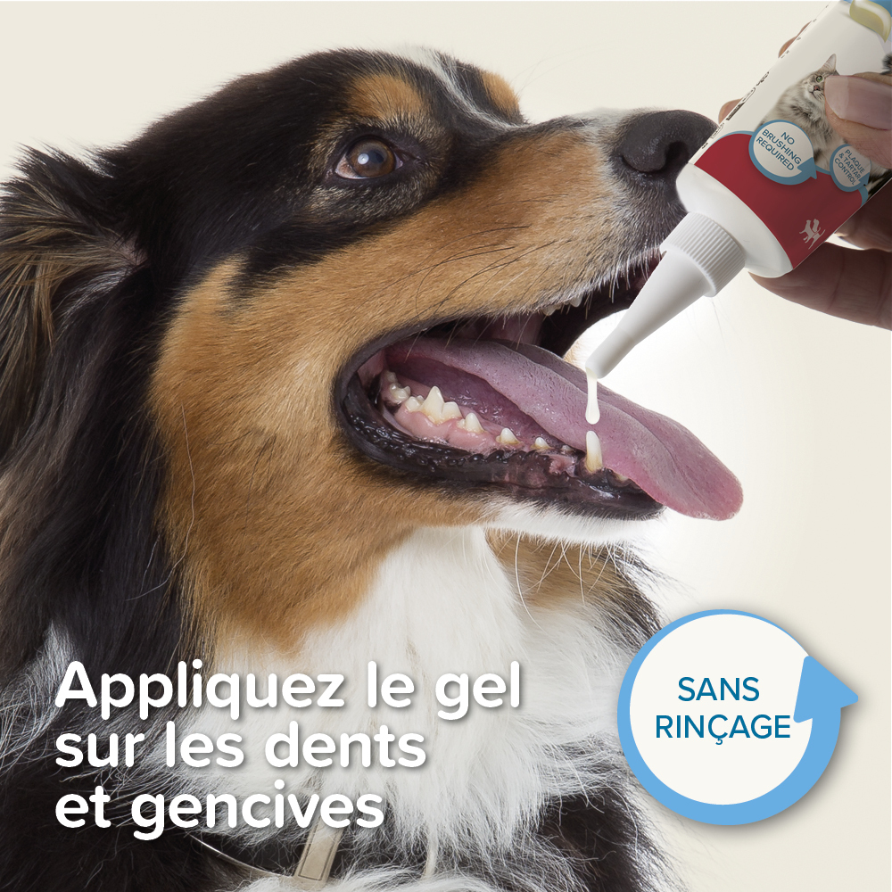 Dentifrice gel haleine fraîche pour chien et chat