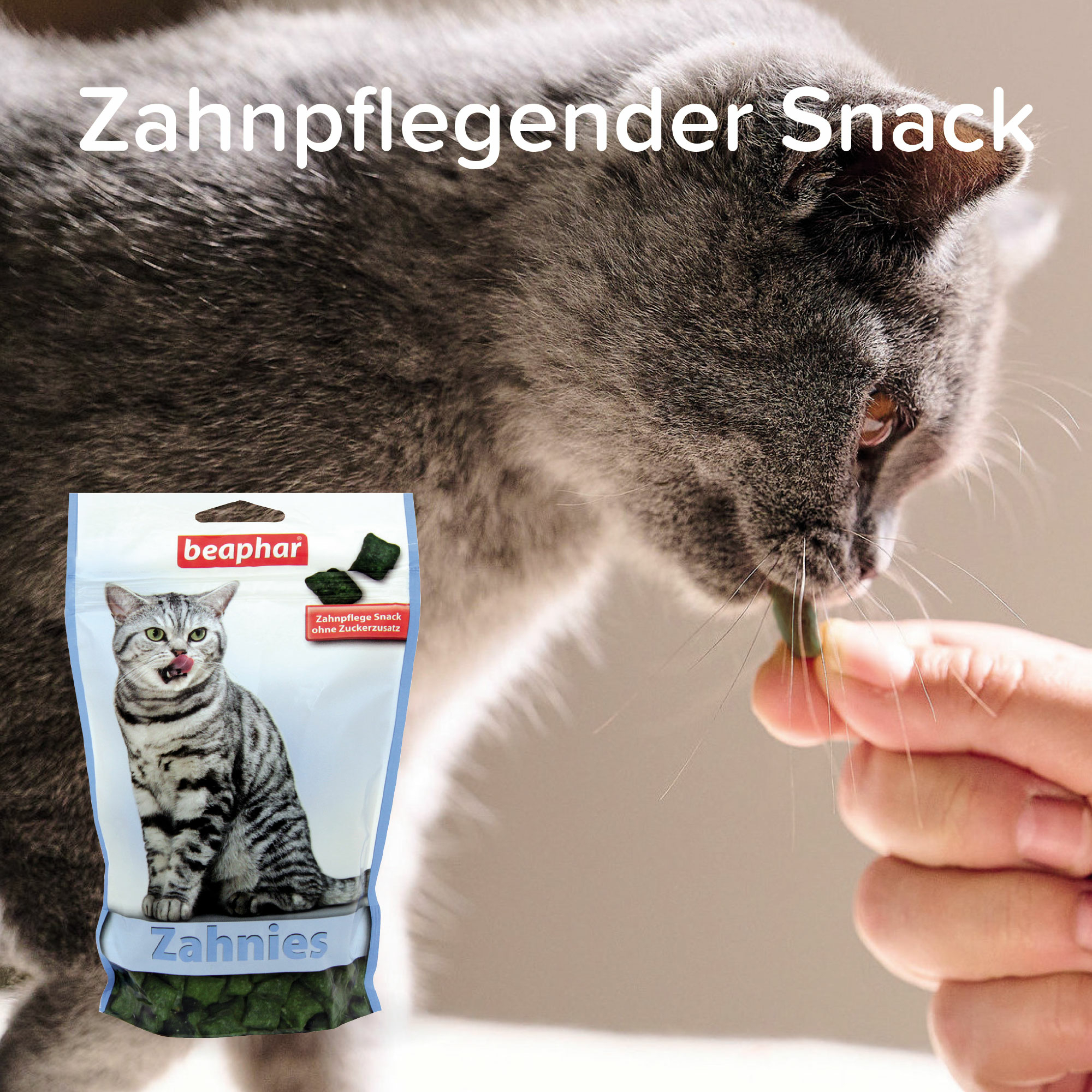 Zahnies, 150g