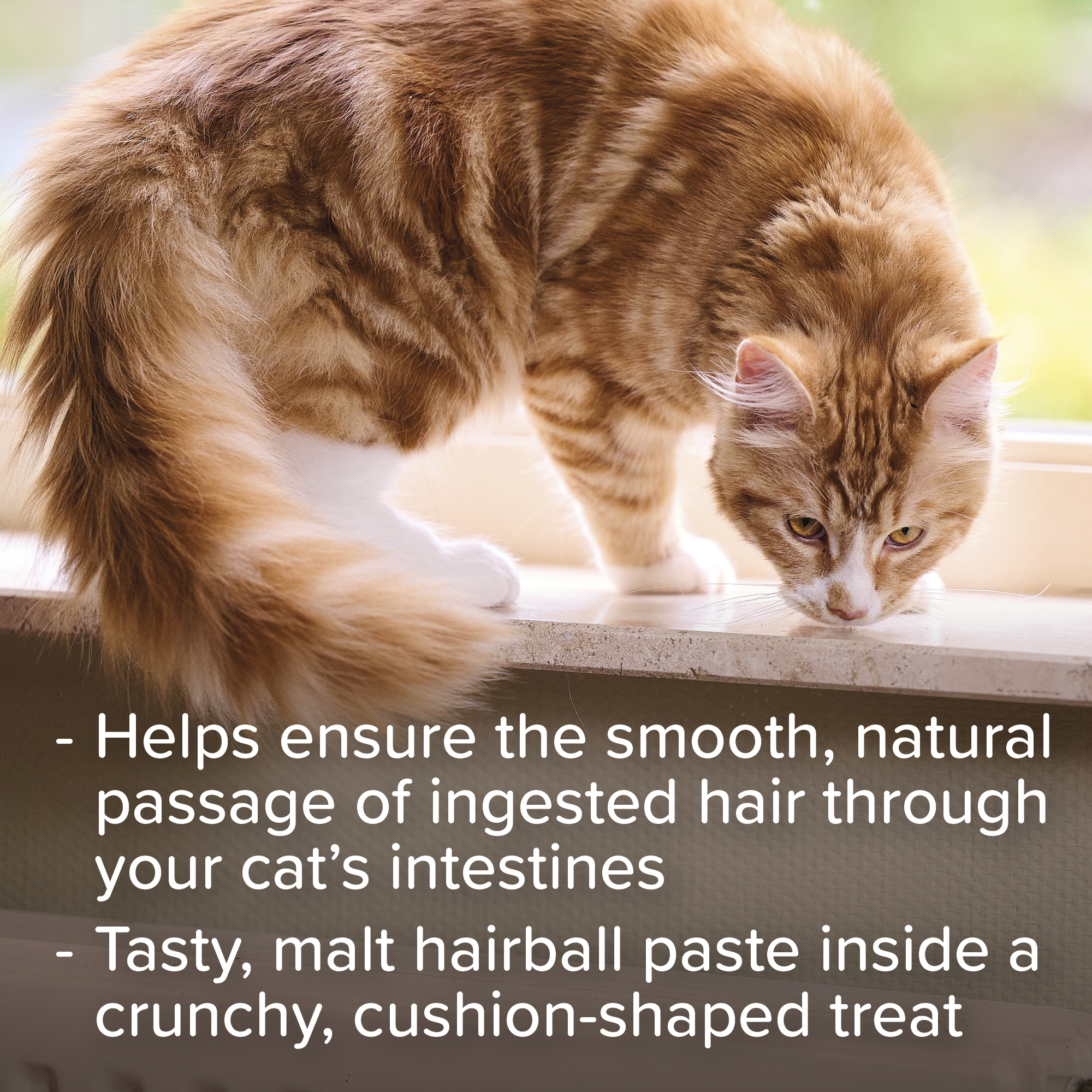 Beaphar Malt Bits for Cats, 75 treats