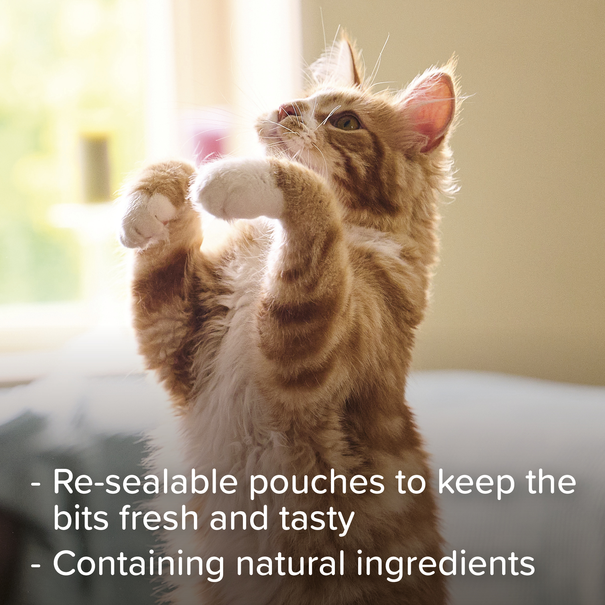 Beaphar Malt Bits for Cats, 75 treats