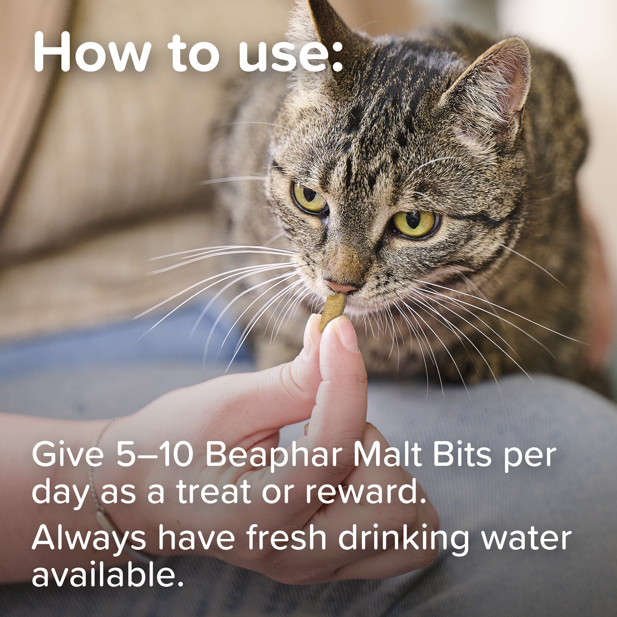 Beaphar Malt Bits for Cats, 75 treats