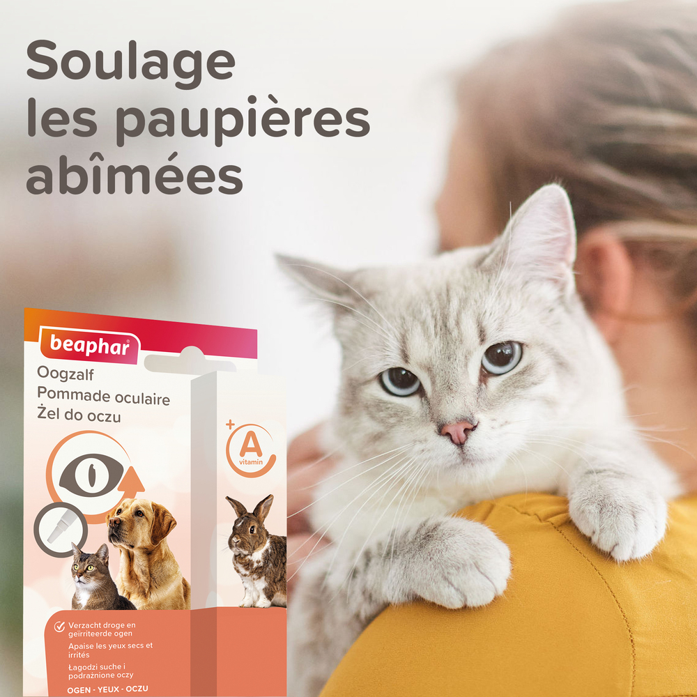 Pommade Oculaire - 5 ml