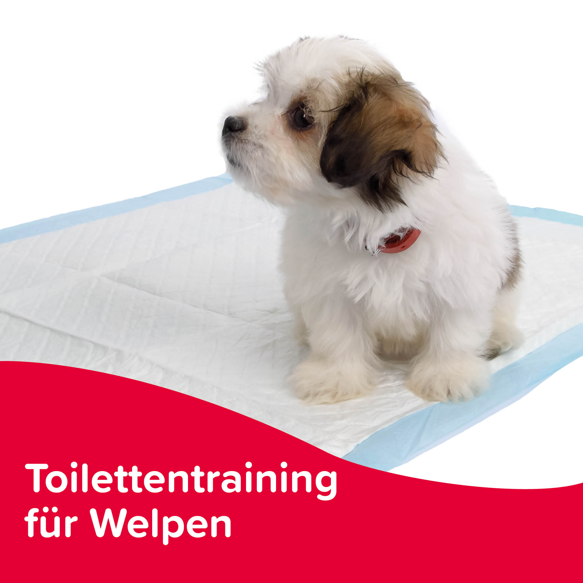 Beaphar Puppy Trainer, 20ml