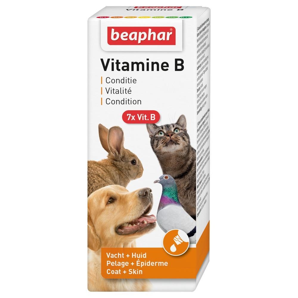 Vitamine B pour chien, chat, lapin, rongeurs et oiseaux - 50 ml