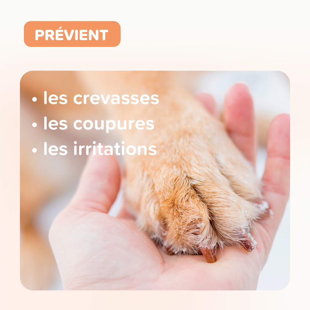 Baume coussinets pour chien et chat - 40 ml