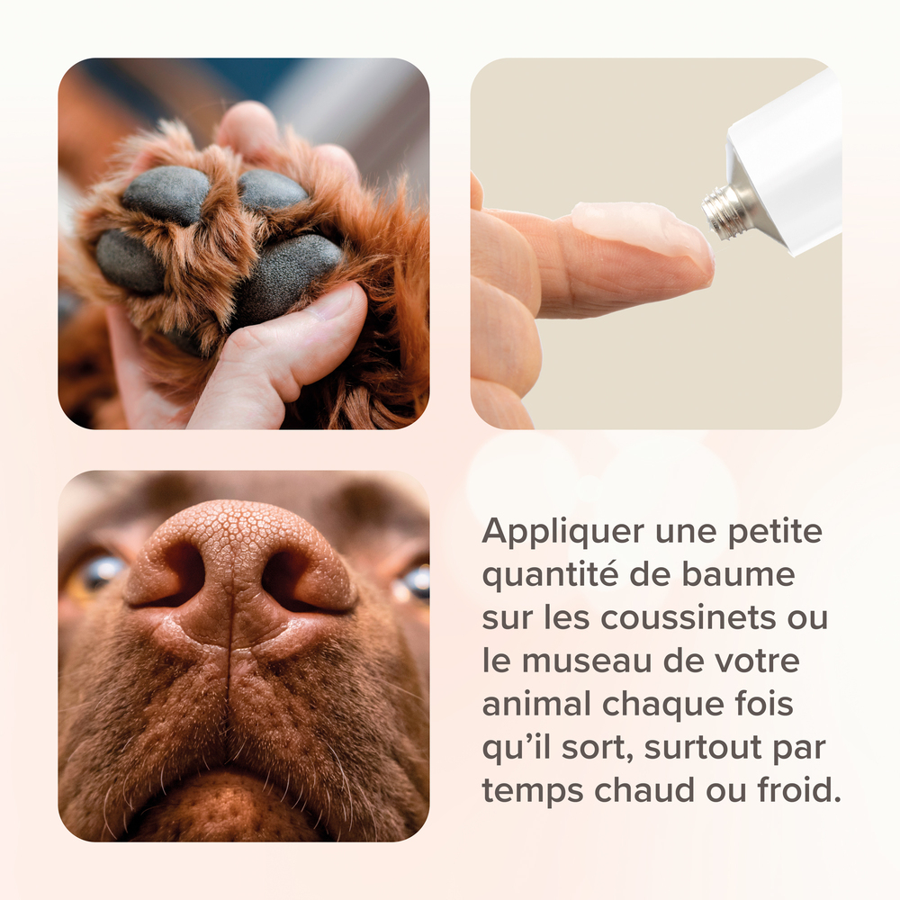 Baume coussinets pour chien et chat - 40 ml