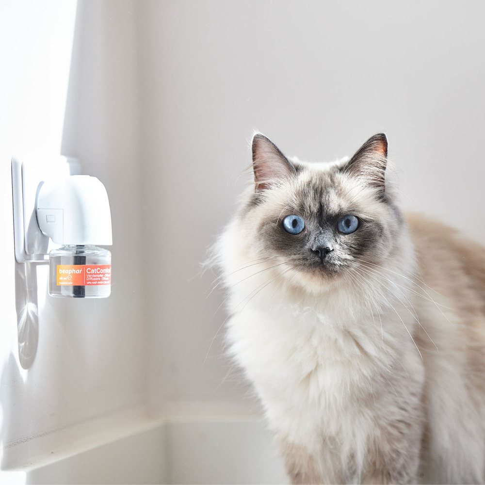 CatComfort® Excellence, diffuseur et recharge aux phéromones pour chat et chaton
