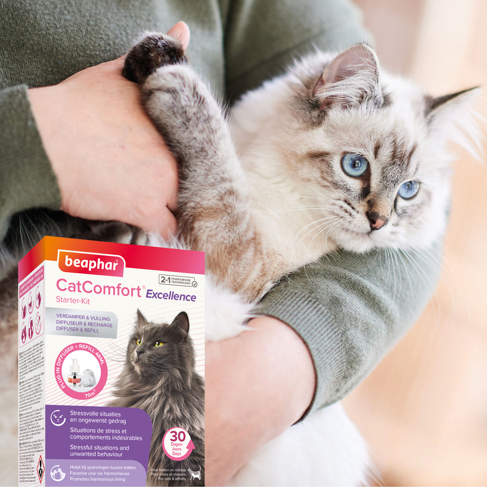 CatComfort® Excellence, diffuseur et recharge aux phéromones pour chat et chaton