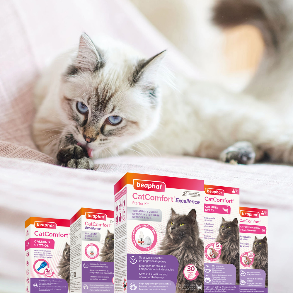 CatComfort® Excellence, diffuseur et recharge aux phéromones pour chat et chaton