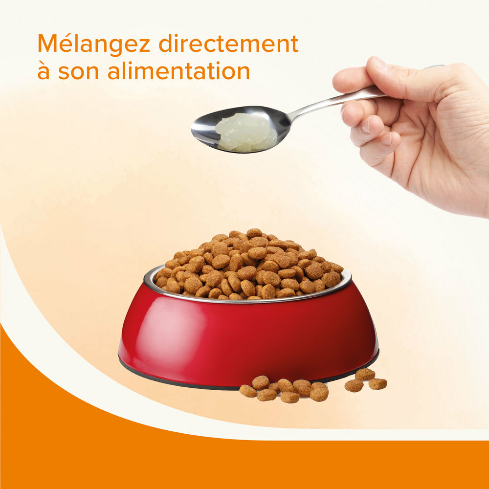 Graisse de mouton pour chien