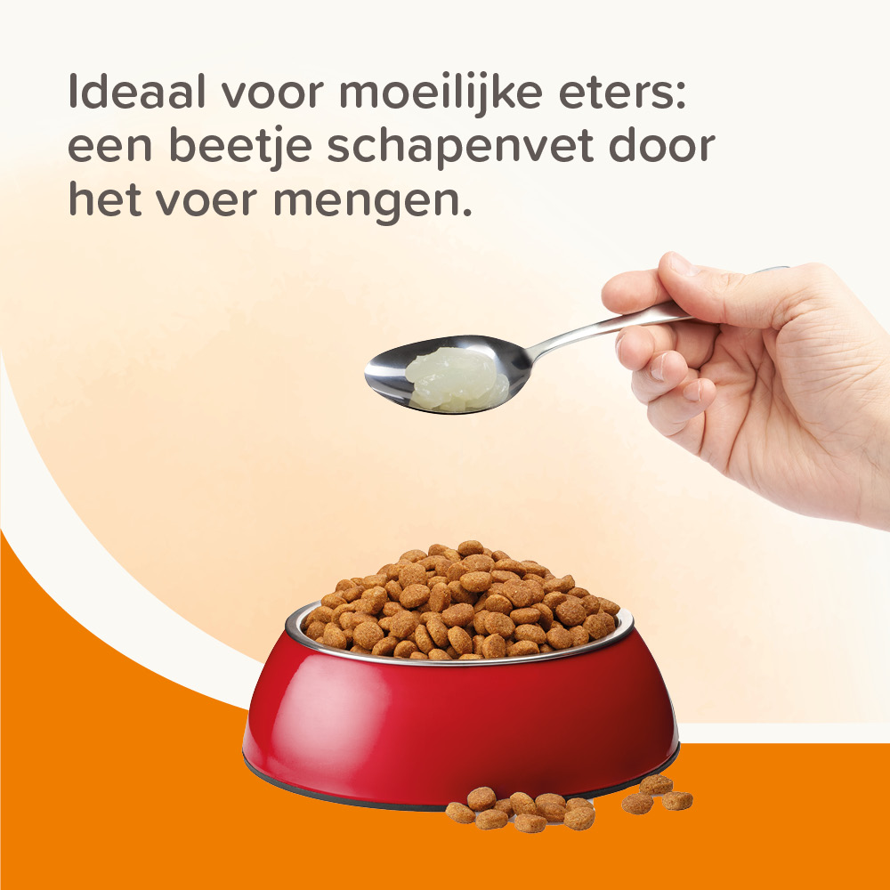 Schapenvet 430ml