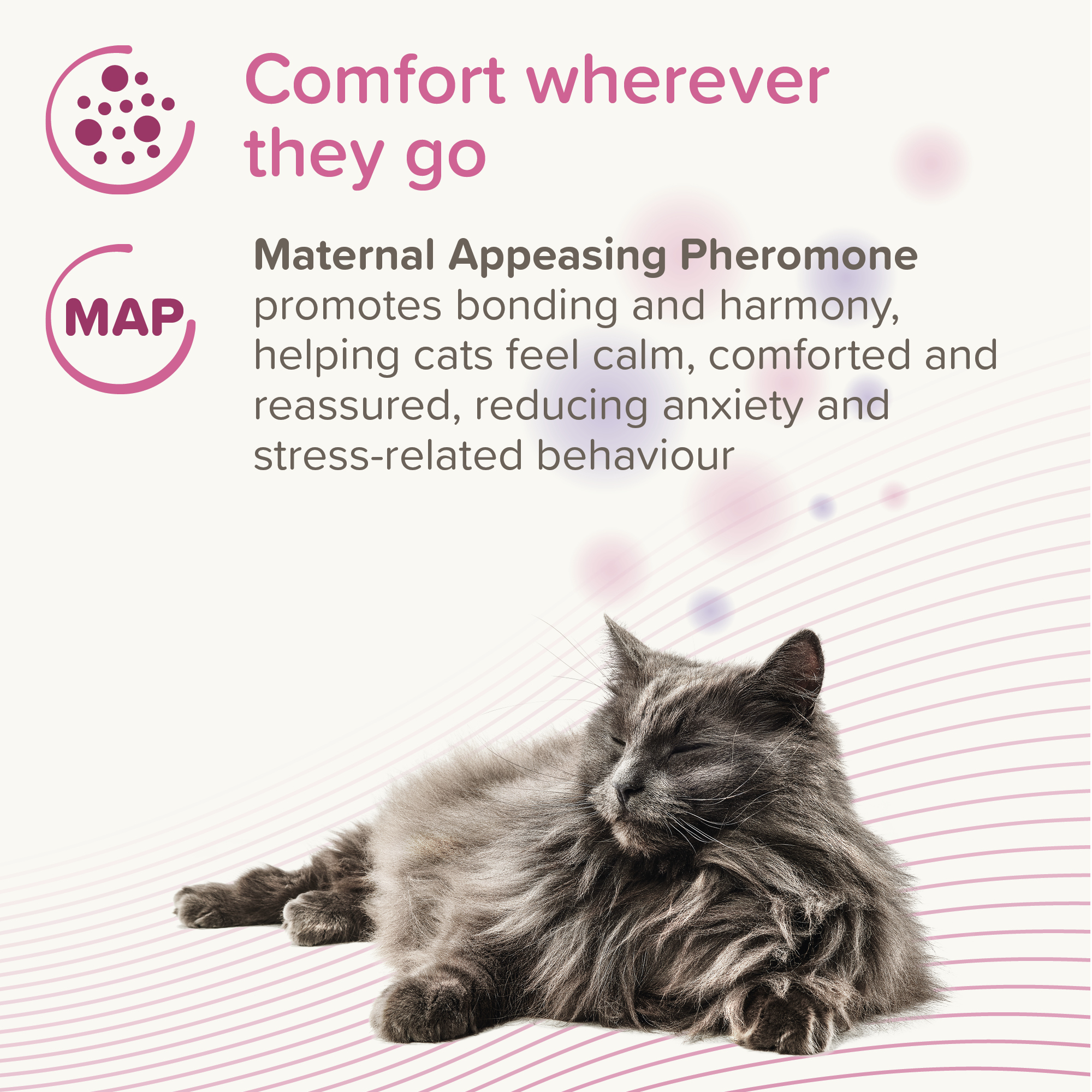 Beaphar CatComfort® Pheromone Calming Spot-On for Cats, 3 pipettes