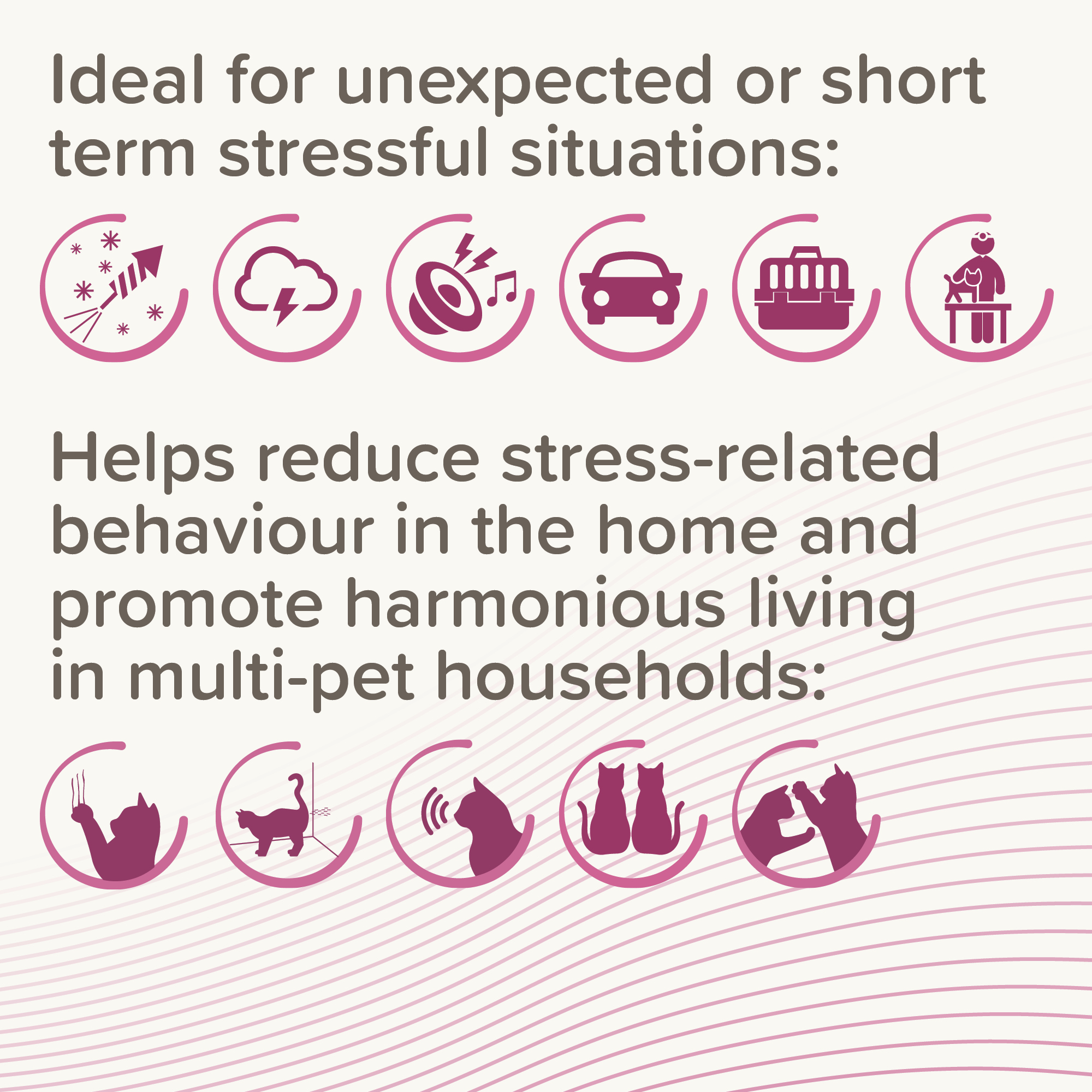 Beaphar CatComfort® Pheromone Calming Spot-On for Cats, 3 pipettes