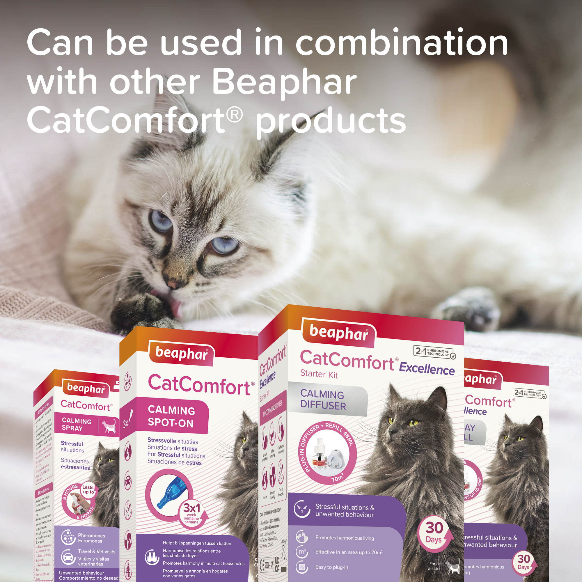 Beaphar CatComfort® Pheromone Calming Spot-On for Cats, 3 pipettes