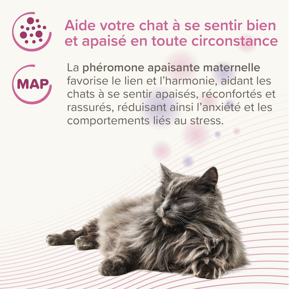 CatComfort®, pipettes calmantes pour chats et chatons aux phéromones - 3 pipettes