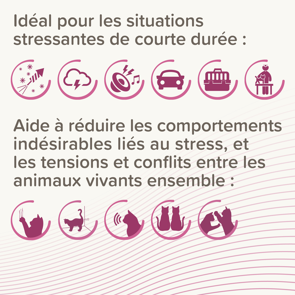 CatComfort®, pipettes calmantes pour chats et chatons aux phéromones - 3 pipettes
