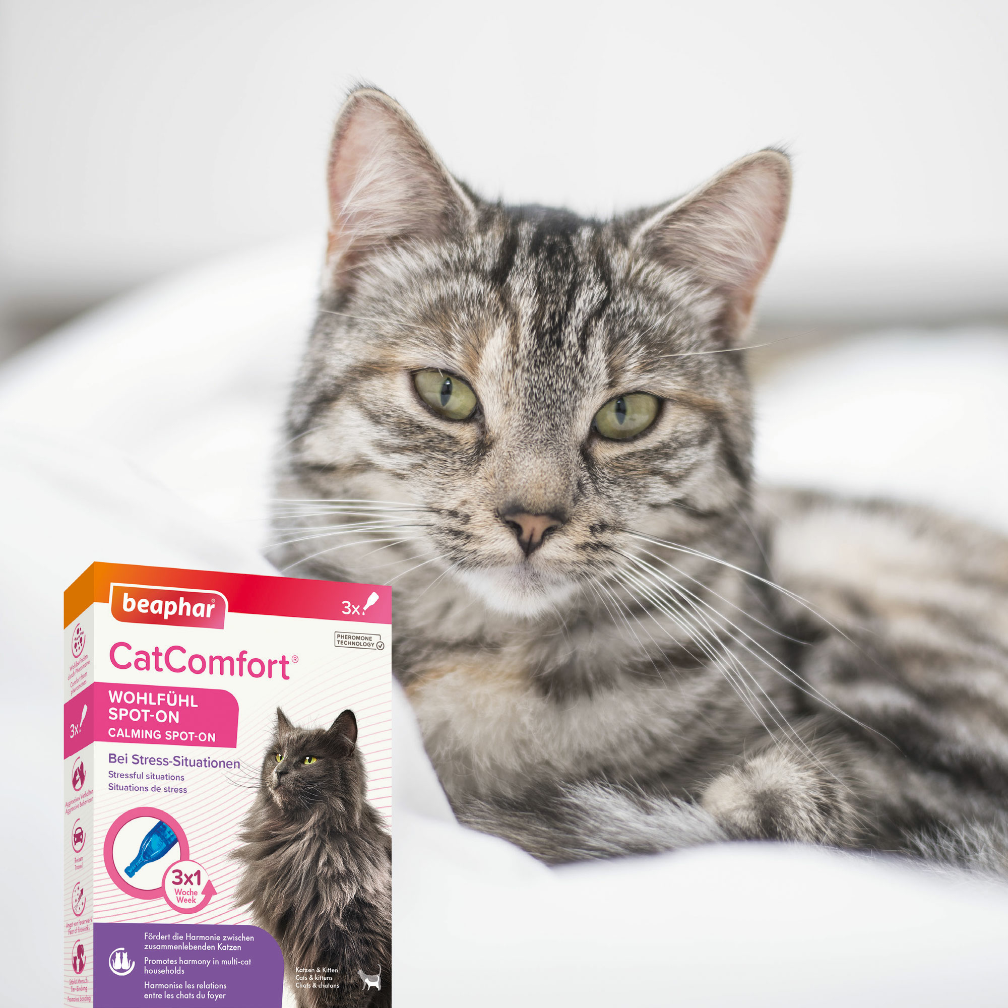 CatComfort® nyugtató hatású feromonos spot-on