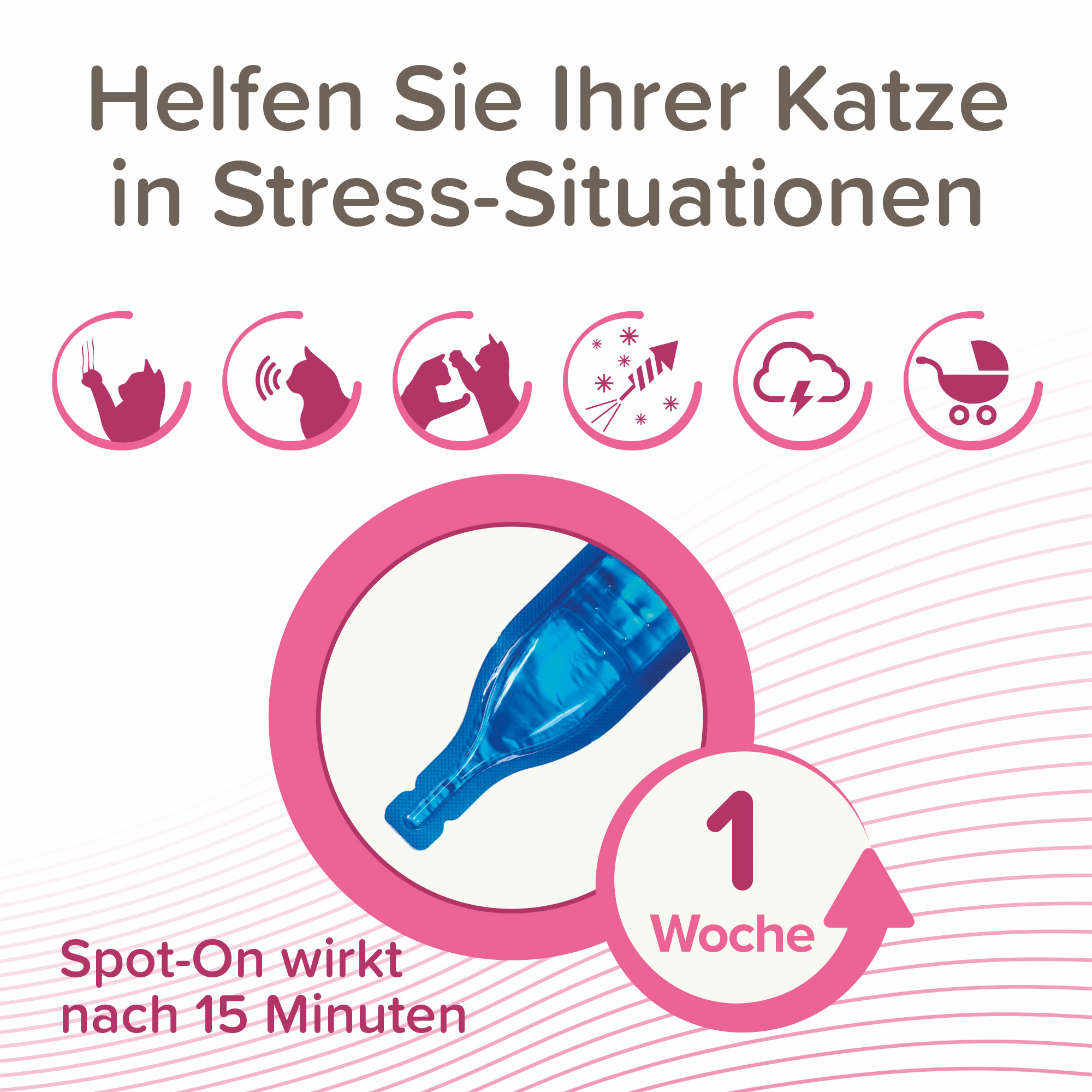 CatComfort® Wohlfühl Spot-On, 3 x 0,55ml