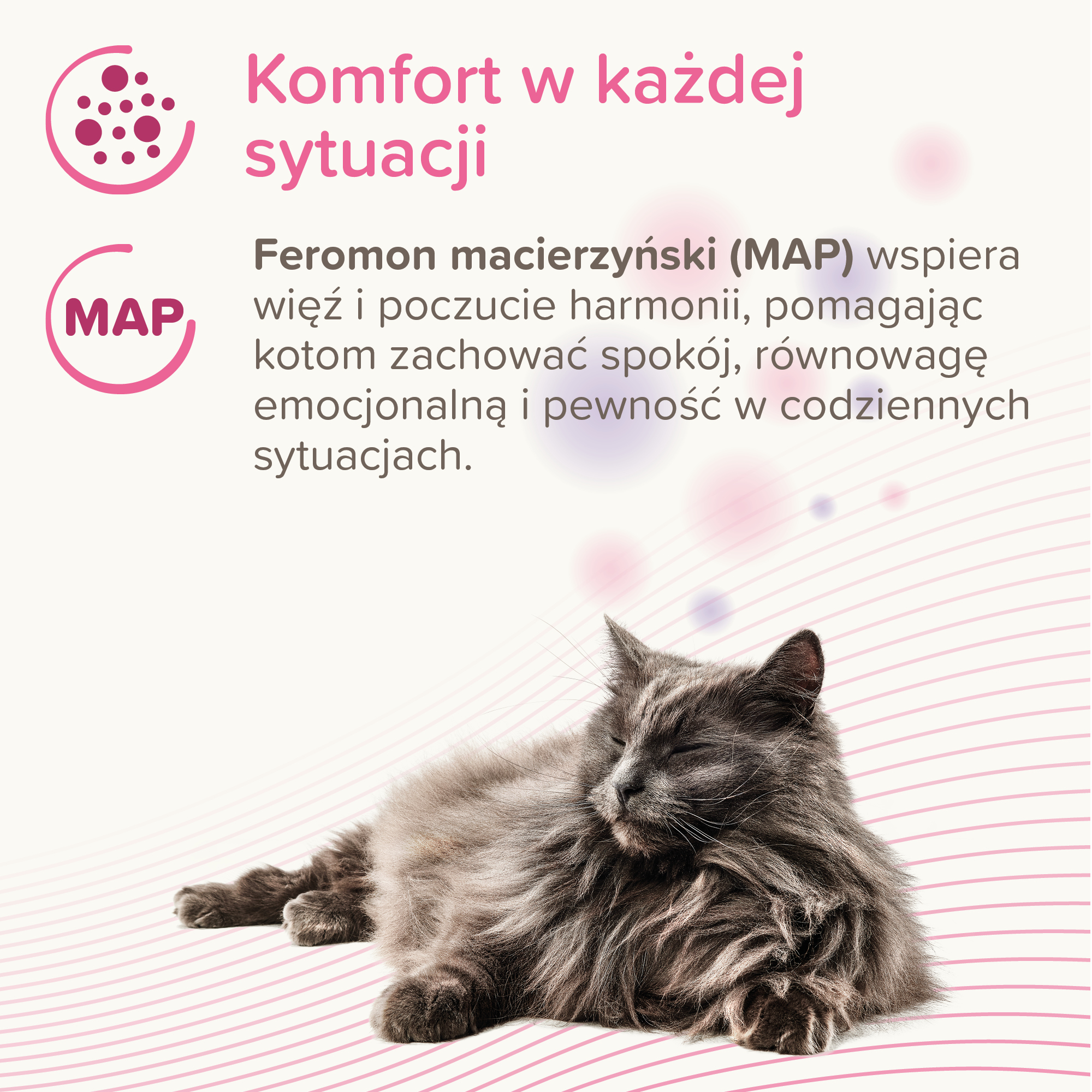 CatComfort® Spot On
