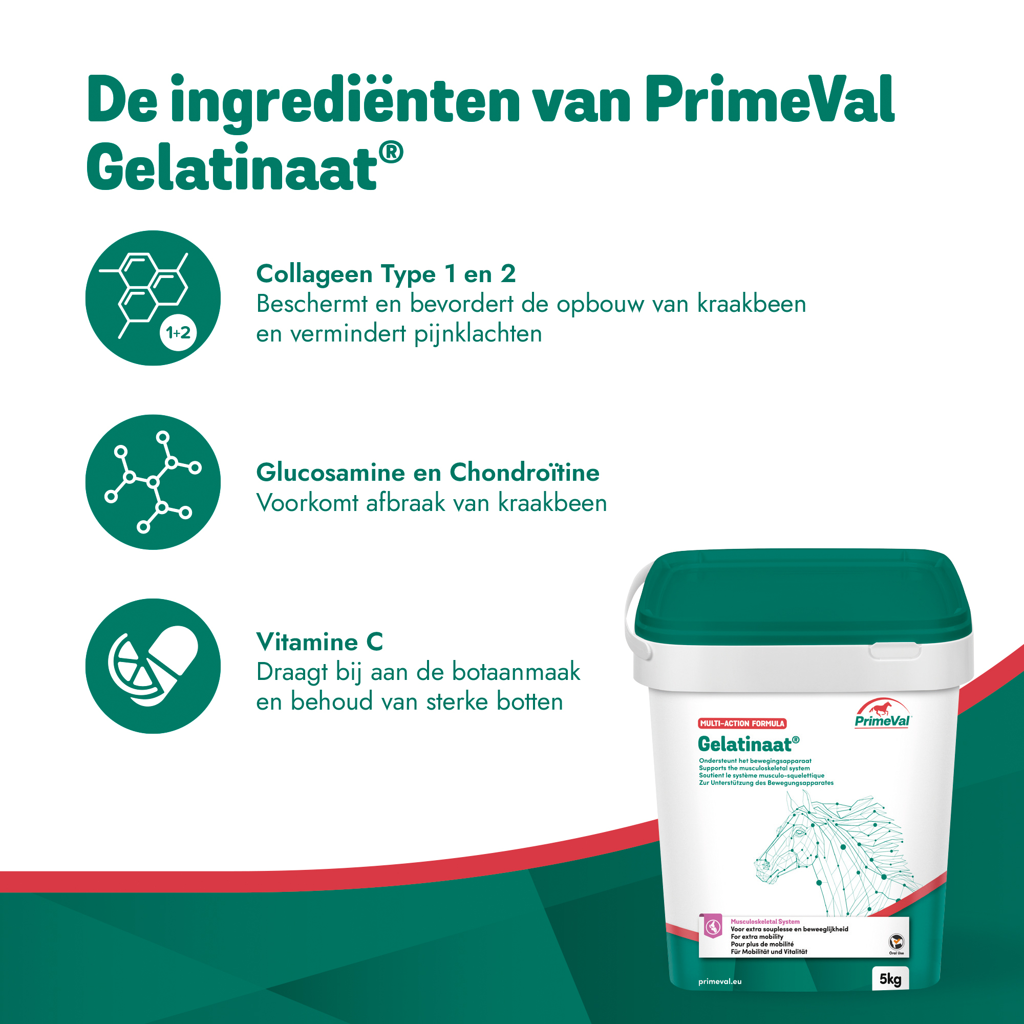 PrimeVal Gelatinaat® Powder 5kg