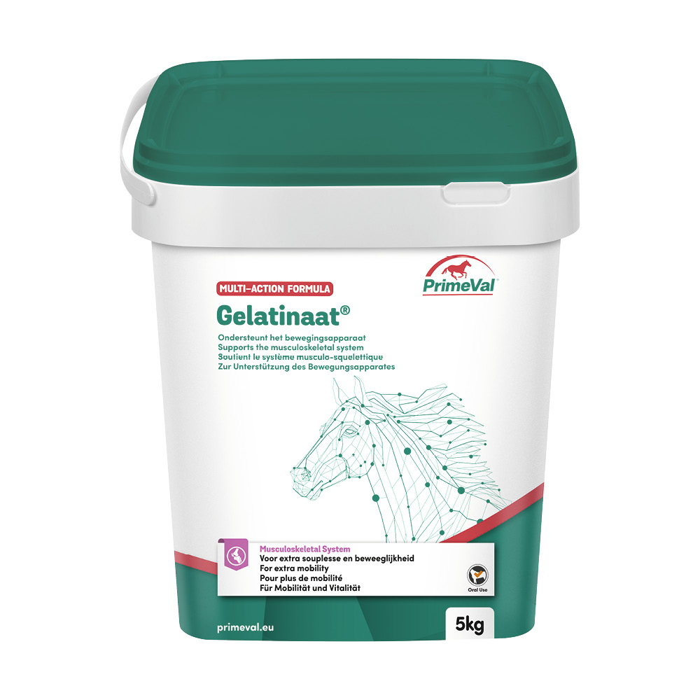PrimeVal Gelatinaat® Pulver 5kg