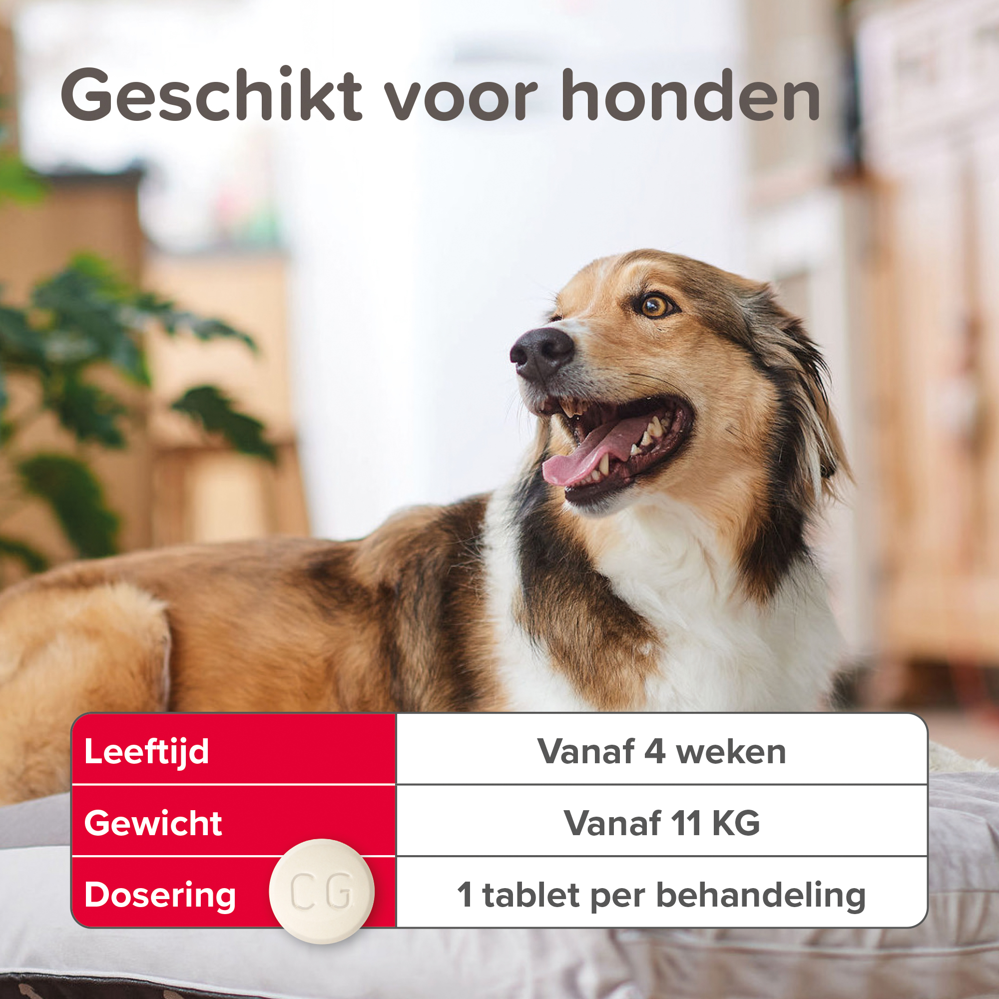 Beaphar Vlo Kill hond vanaf 11kg 6st