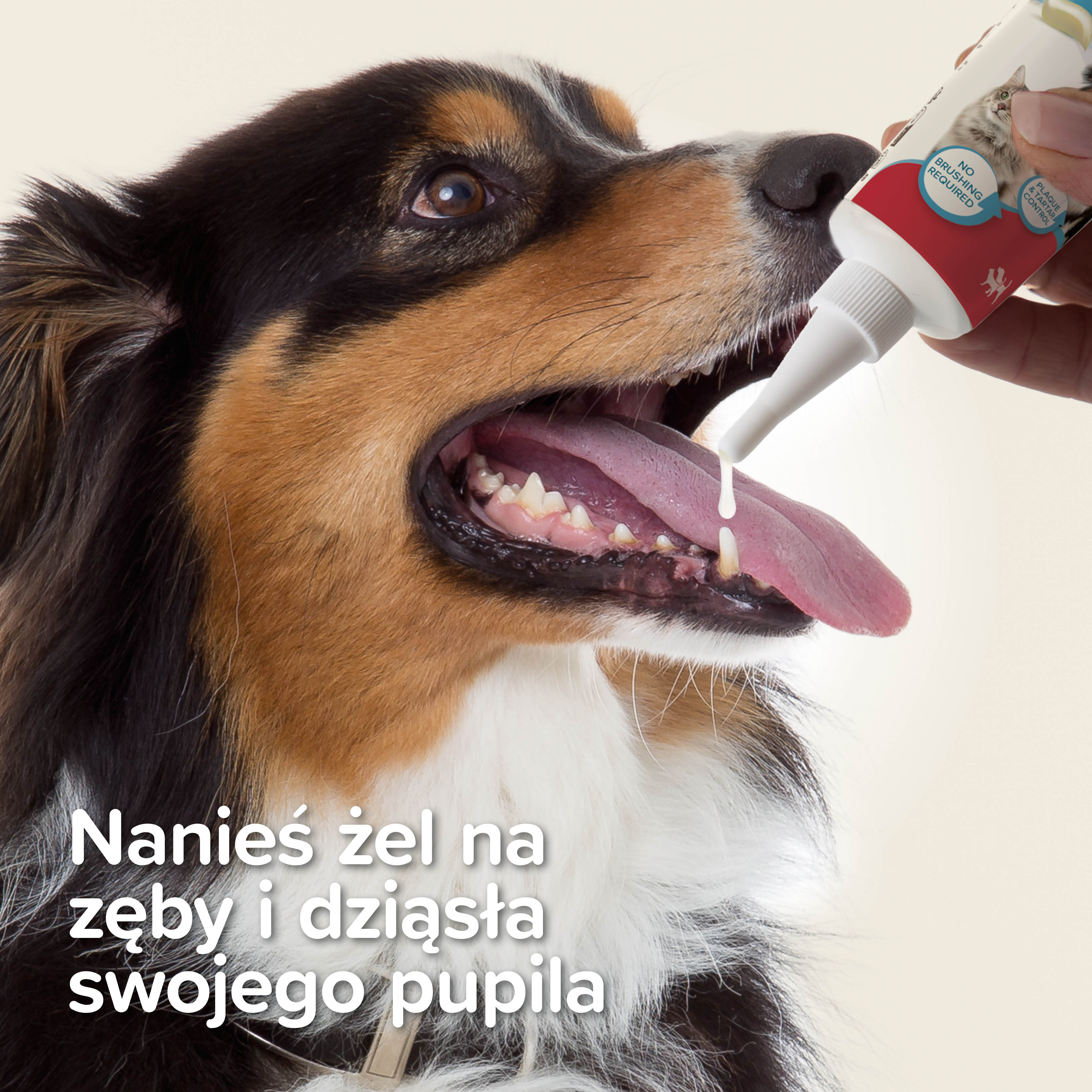 ŻEL DO MYCIA ZĘBÓW 100G  - żel o smaku wątróbki dla psów i kotów