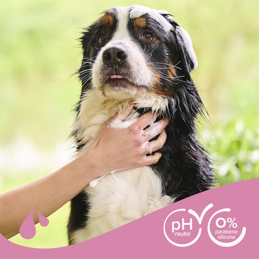ESSENTIEL - Shampooing pour chien au pelage long - 1 L