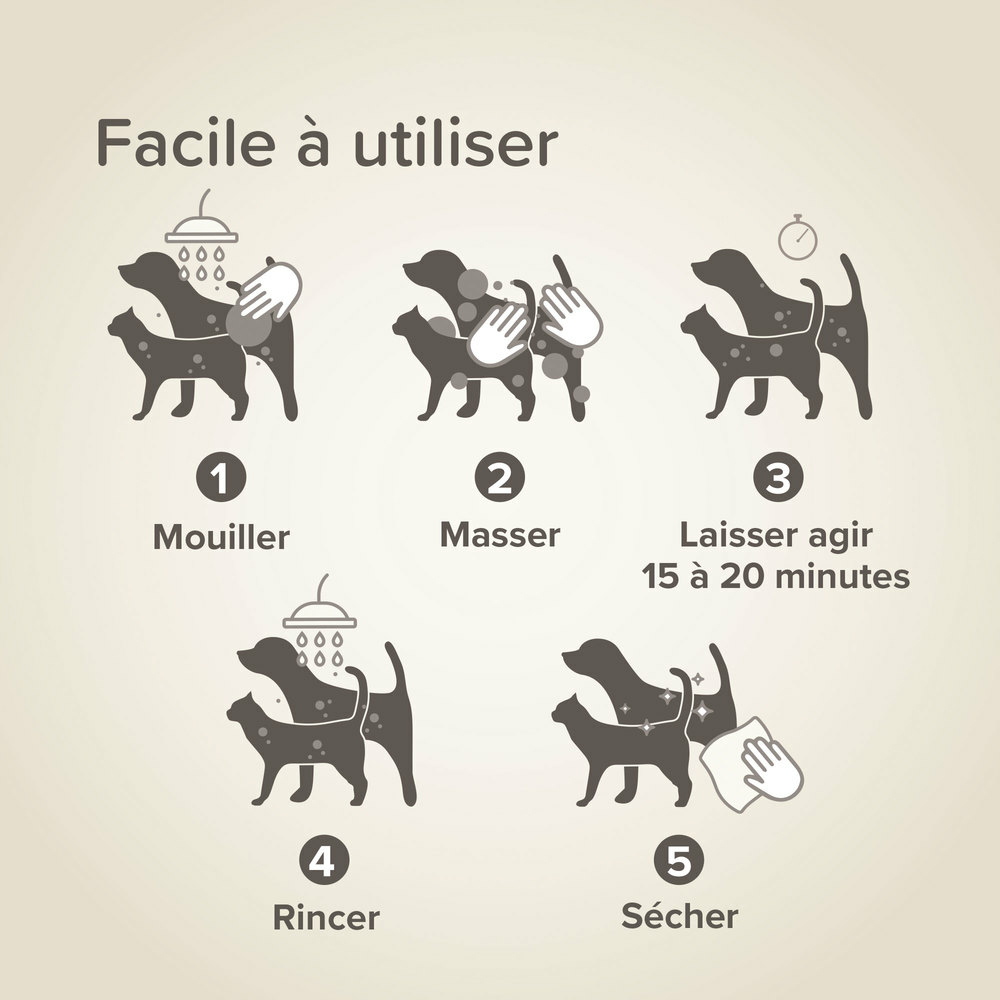 Shampoing Stop Puces Coco pour chien et chat
