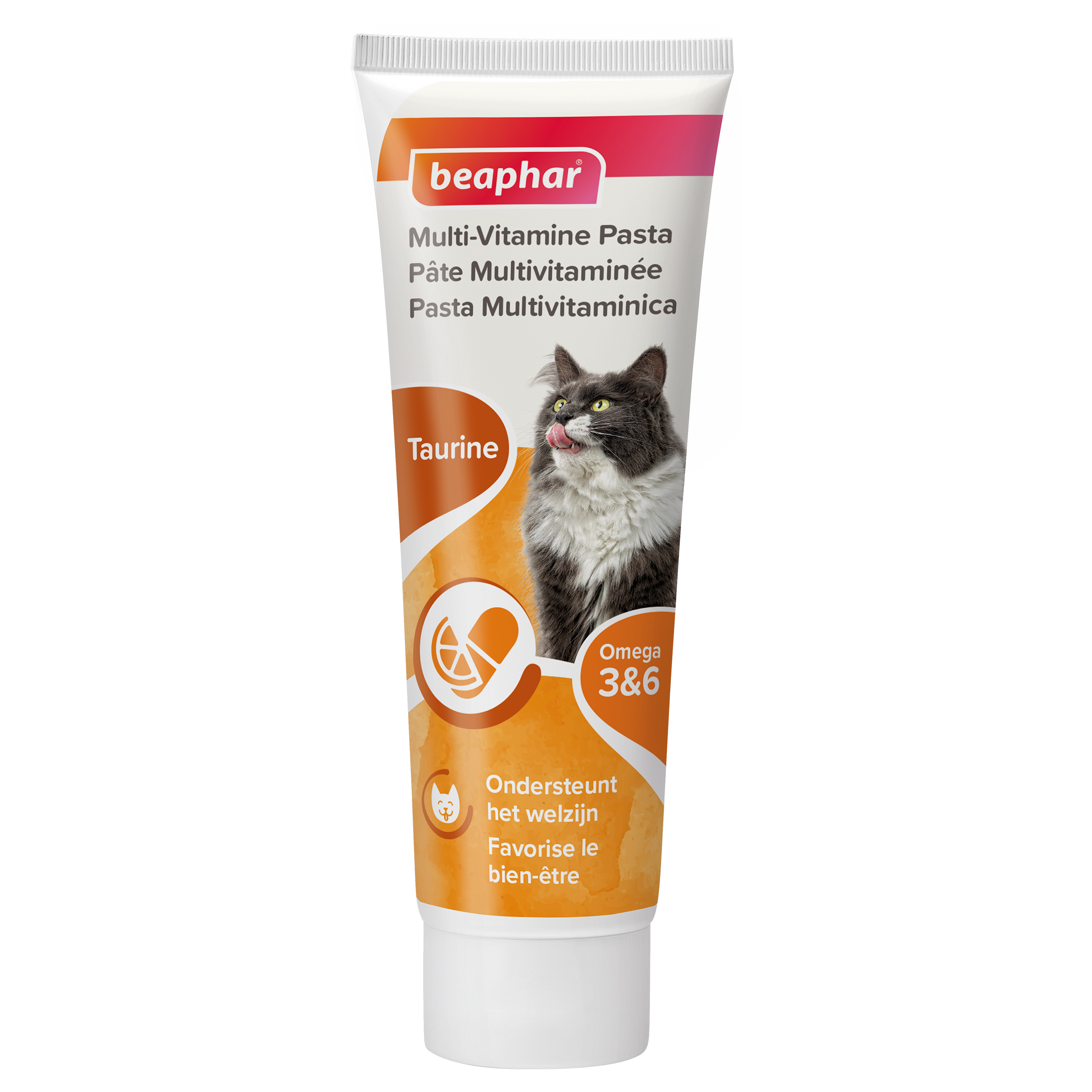 Pâte Multivitaminée Chat 100g