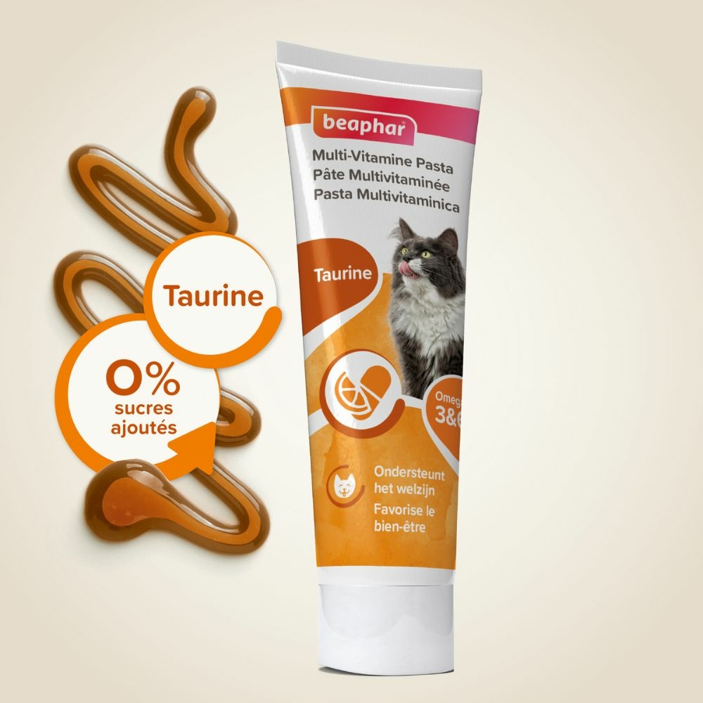 Pâte multivitaminée à la taurine et aux omégas pour chat 100g
