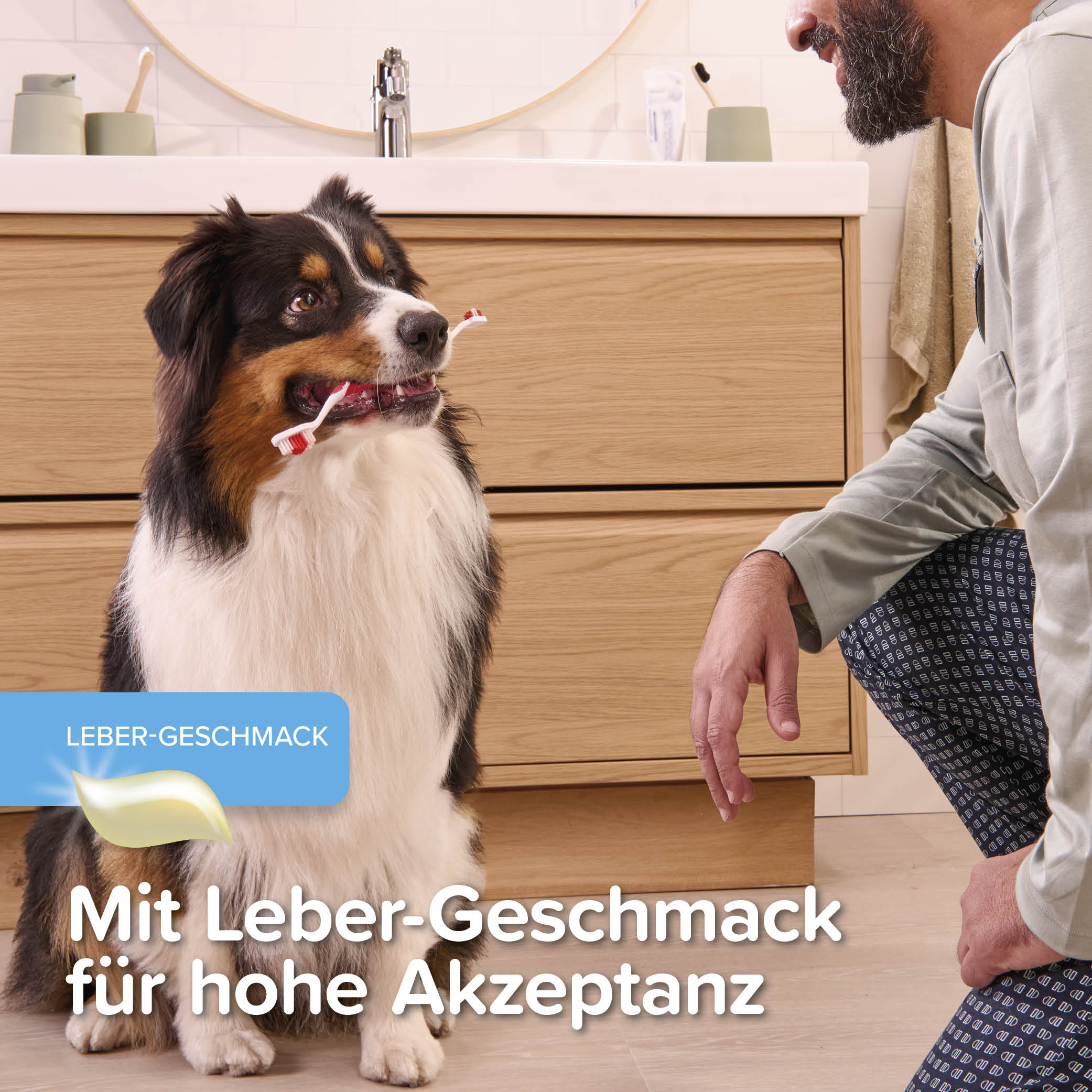 Beaphar Zahngel, 100g