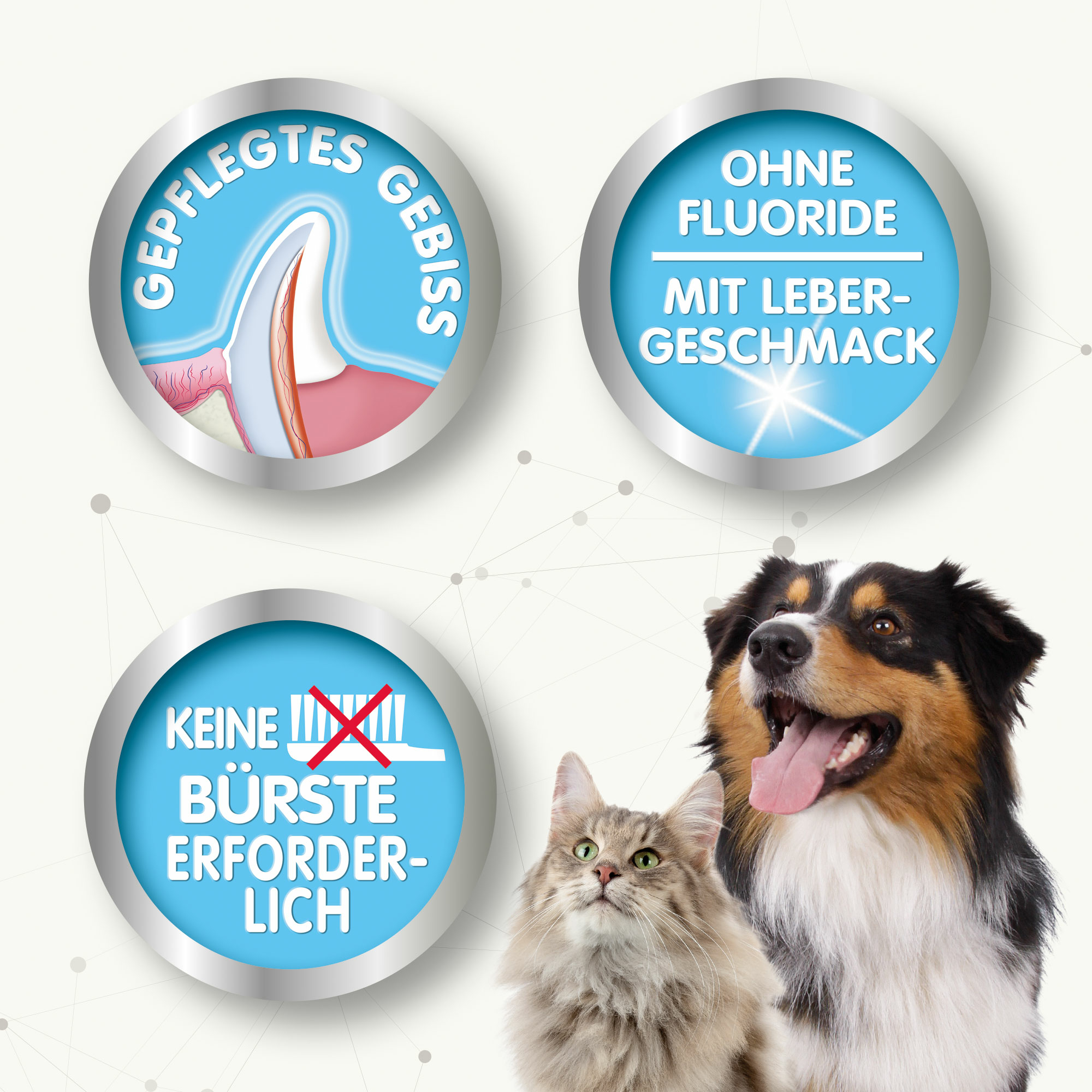 Beaphar Zahnpflege Zerstäuber, 150ml