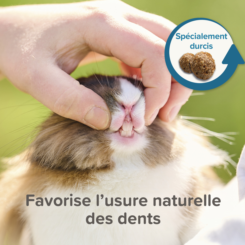 Care +, Alimentation extrudée super premium, Lapin - 10 kg