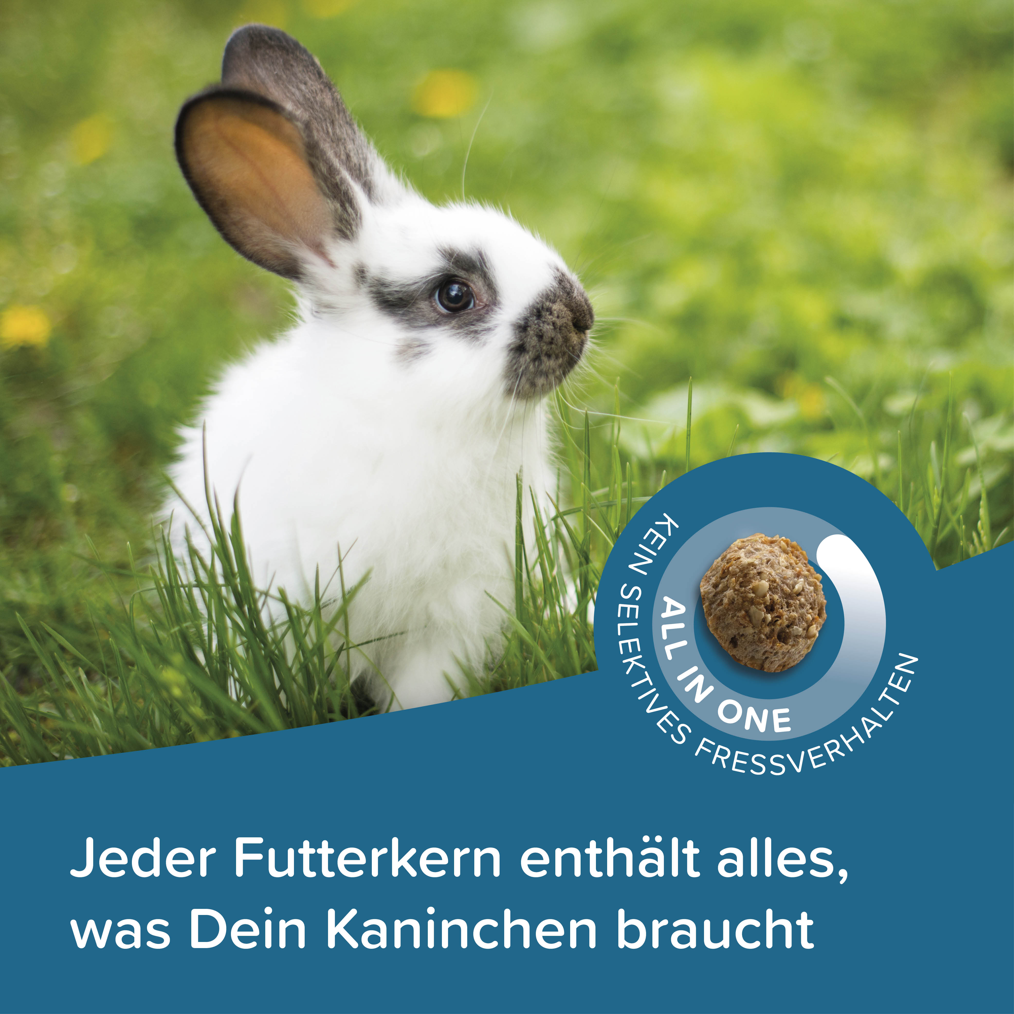 Care+ Kaninchen Junior - 10kg