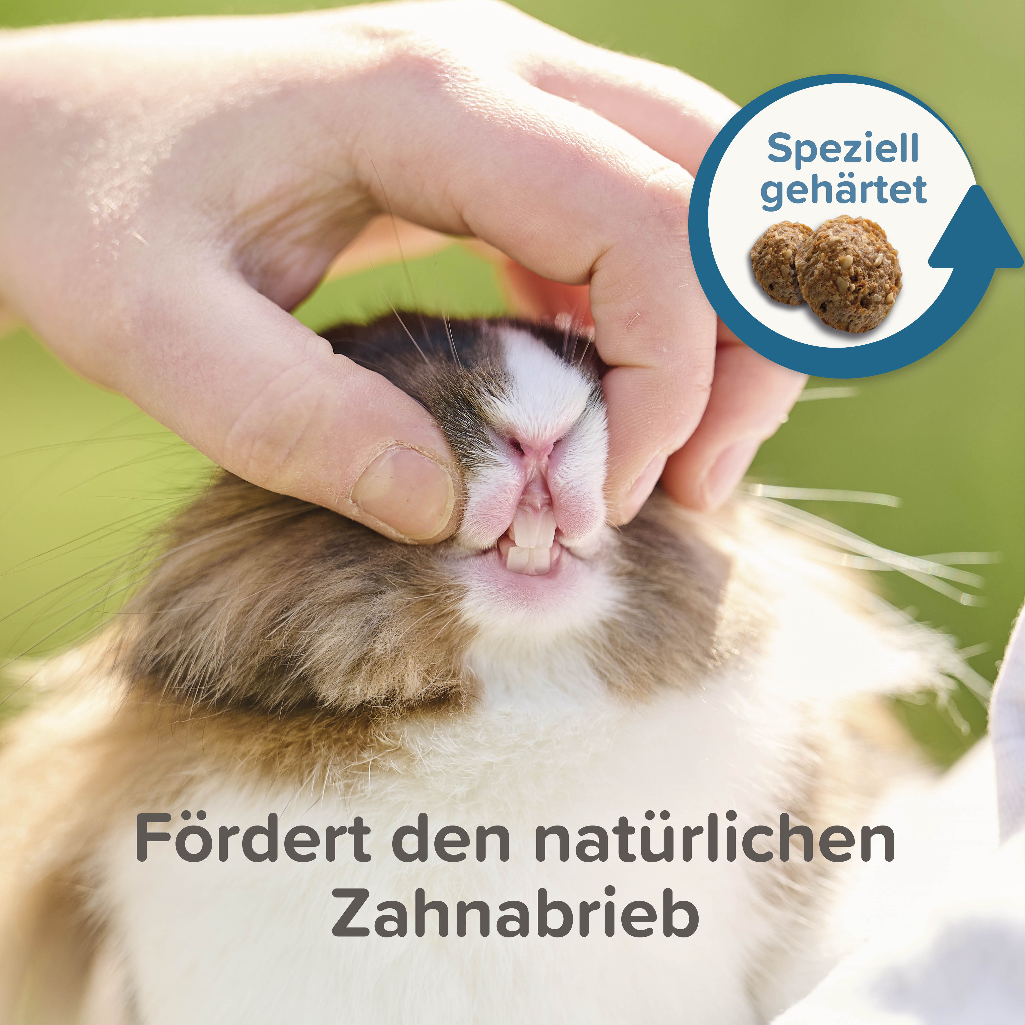 Care+ Kaninchen Junior - 10kg
