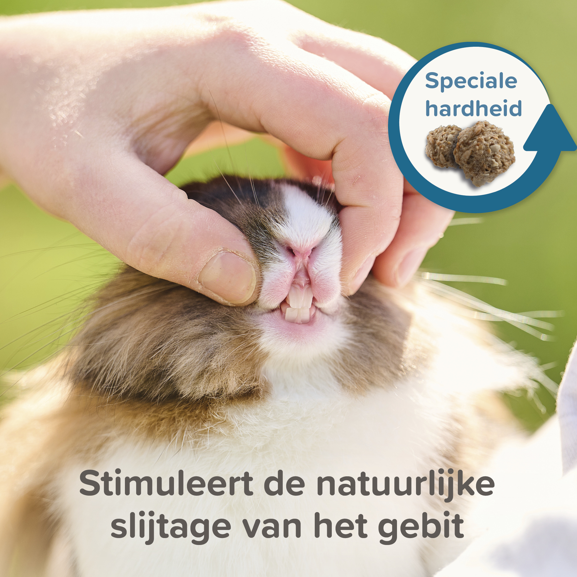 Beaphar Care+ Konijn junior 10kg