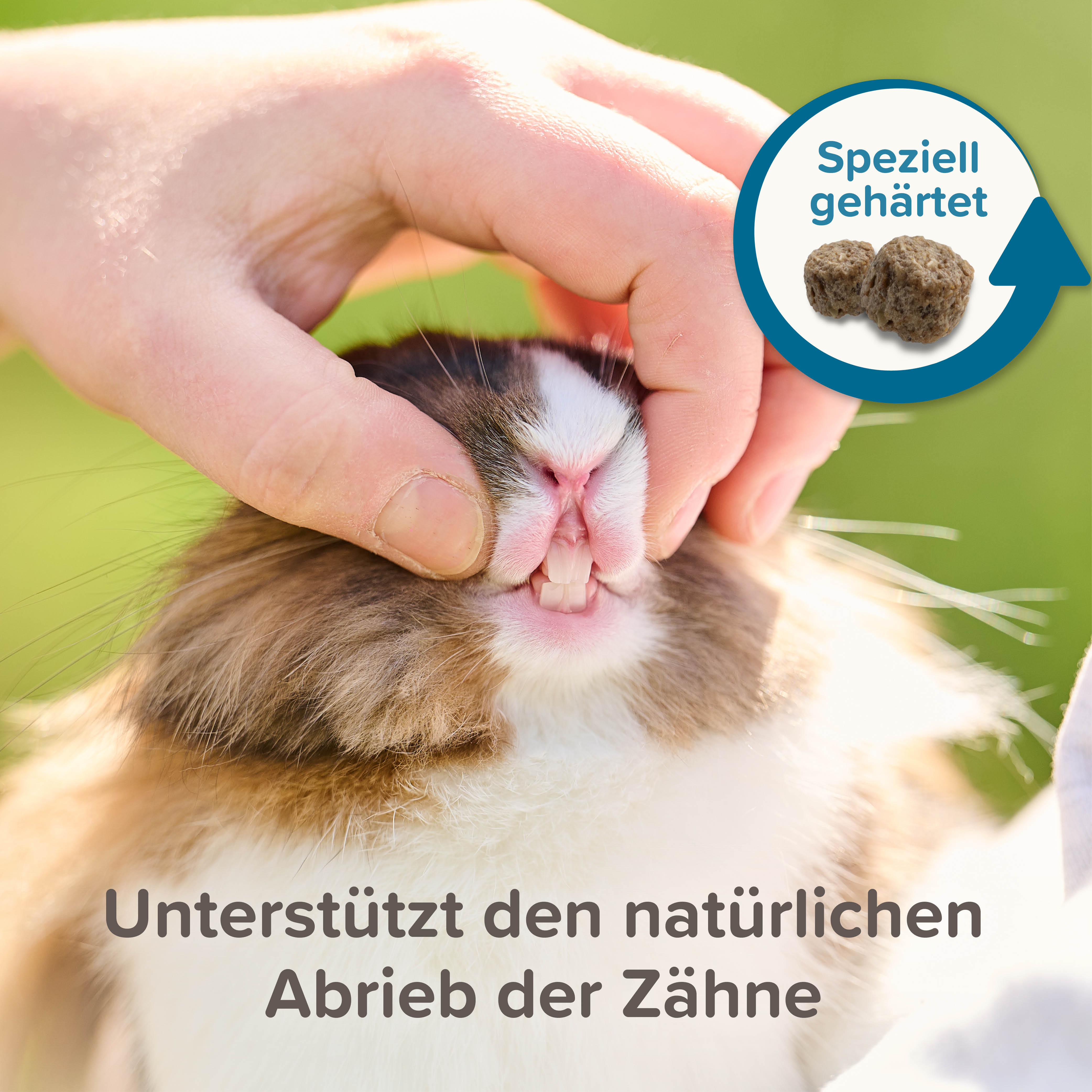Care+ Meerschweinchen, 5kg