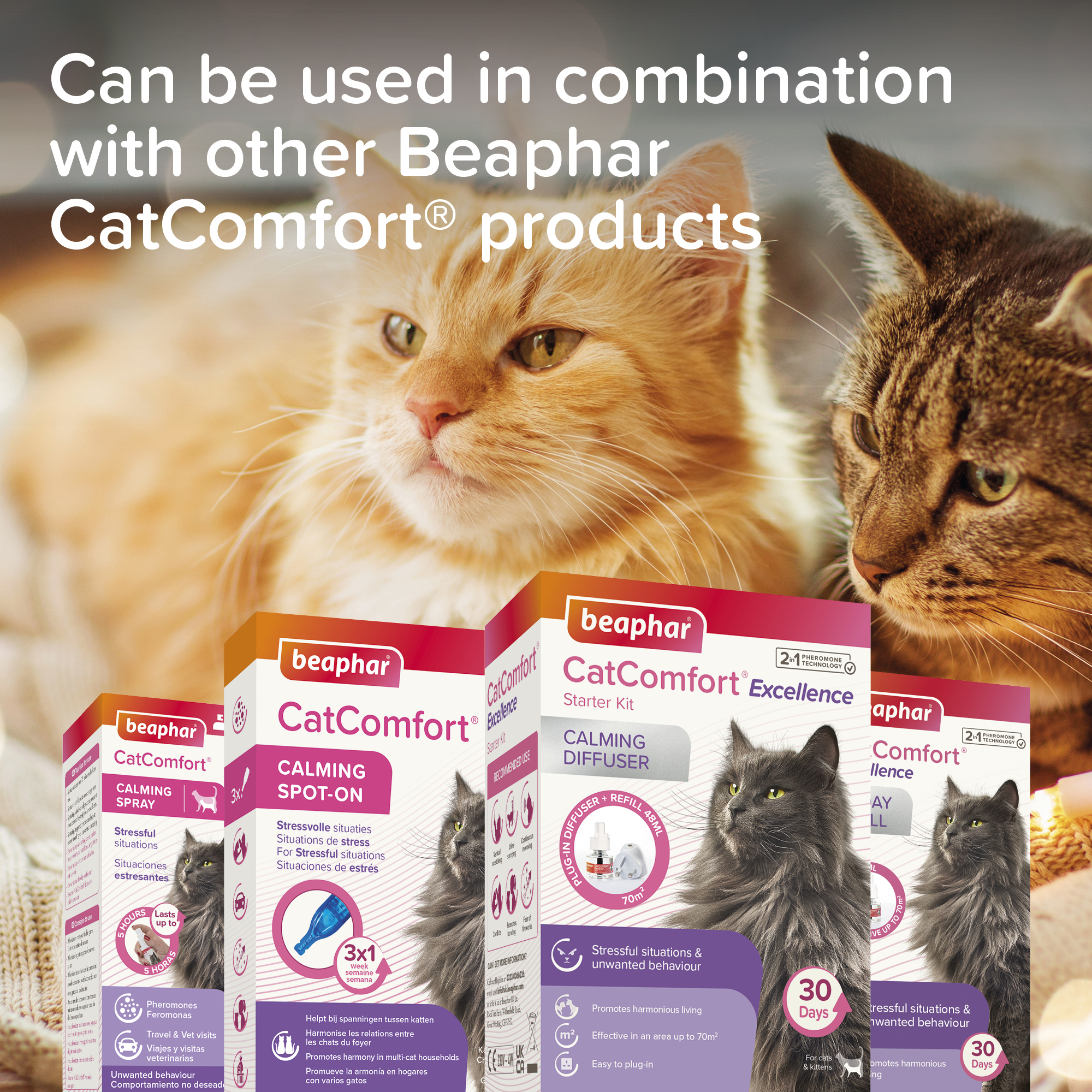 Beaphar CatComfort® Excellence Calming Diffuser, Starter Kit 1x diffuser plug-in and 1x 48ml refill