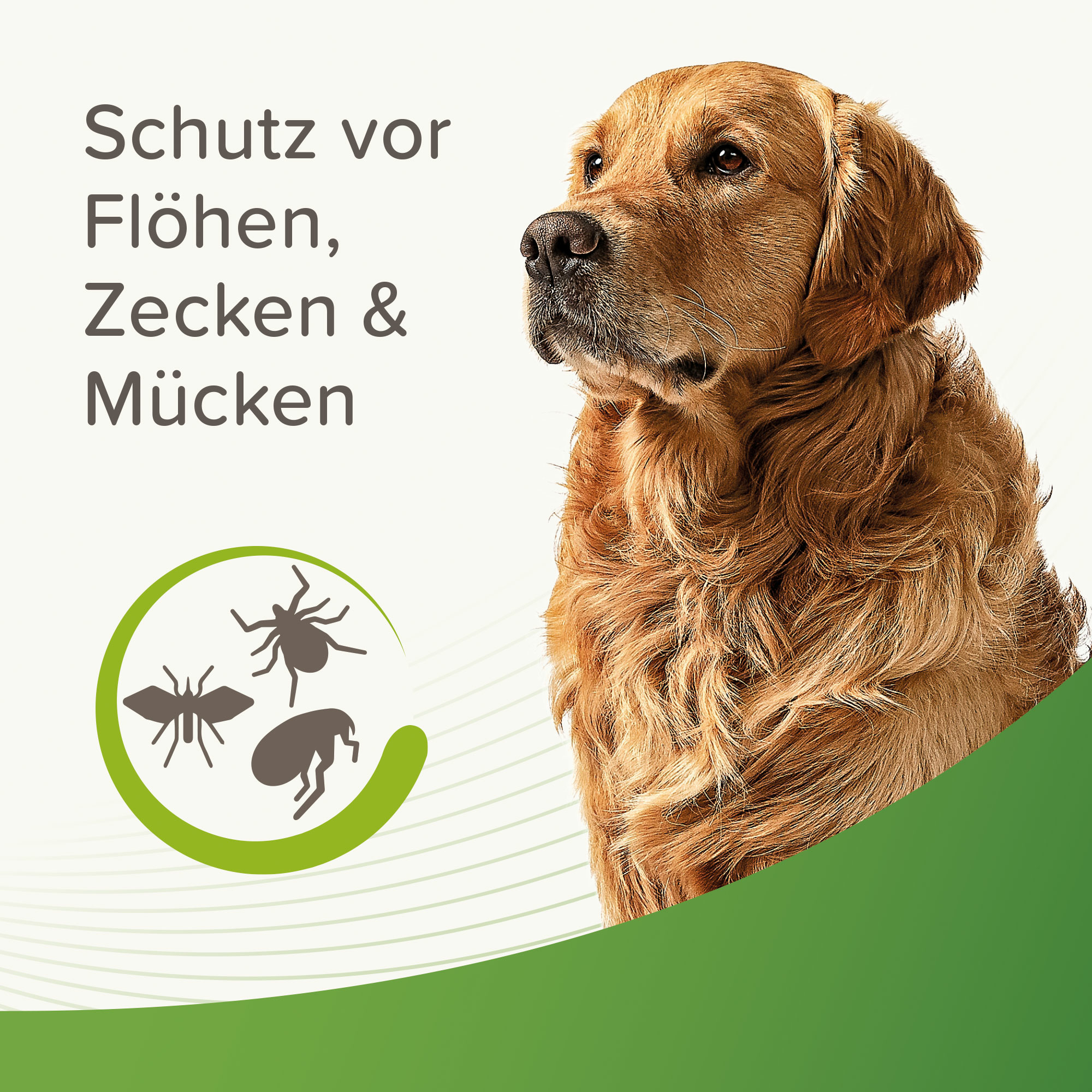 Beaphar Zecken- und Flohschutz Halsband beige, 65cm