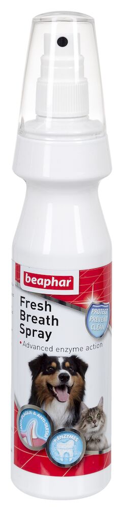 Sprej pro svěží dech