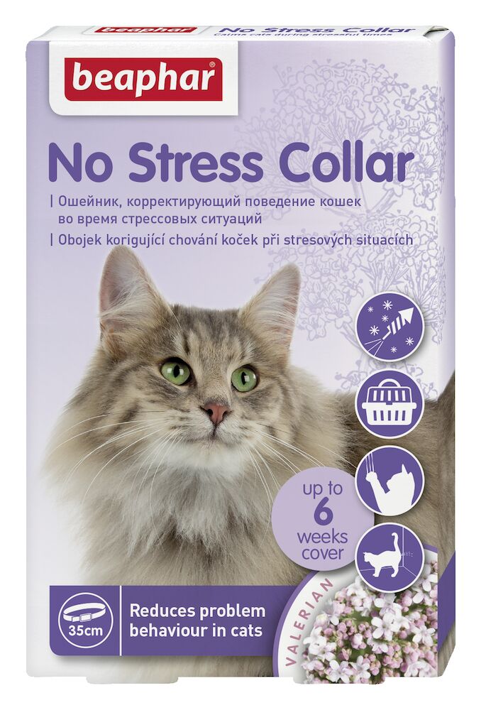 No Stress obojek
