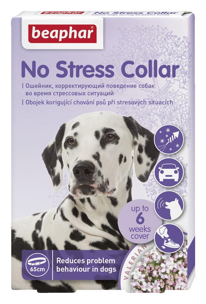 No Stress obojek