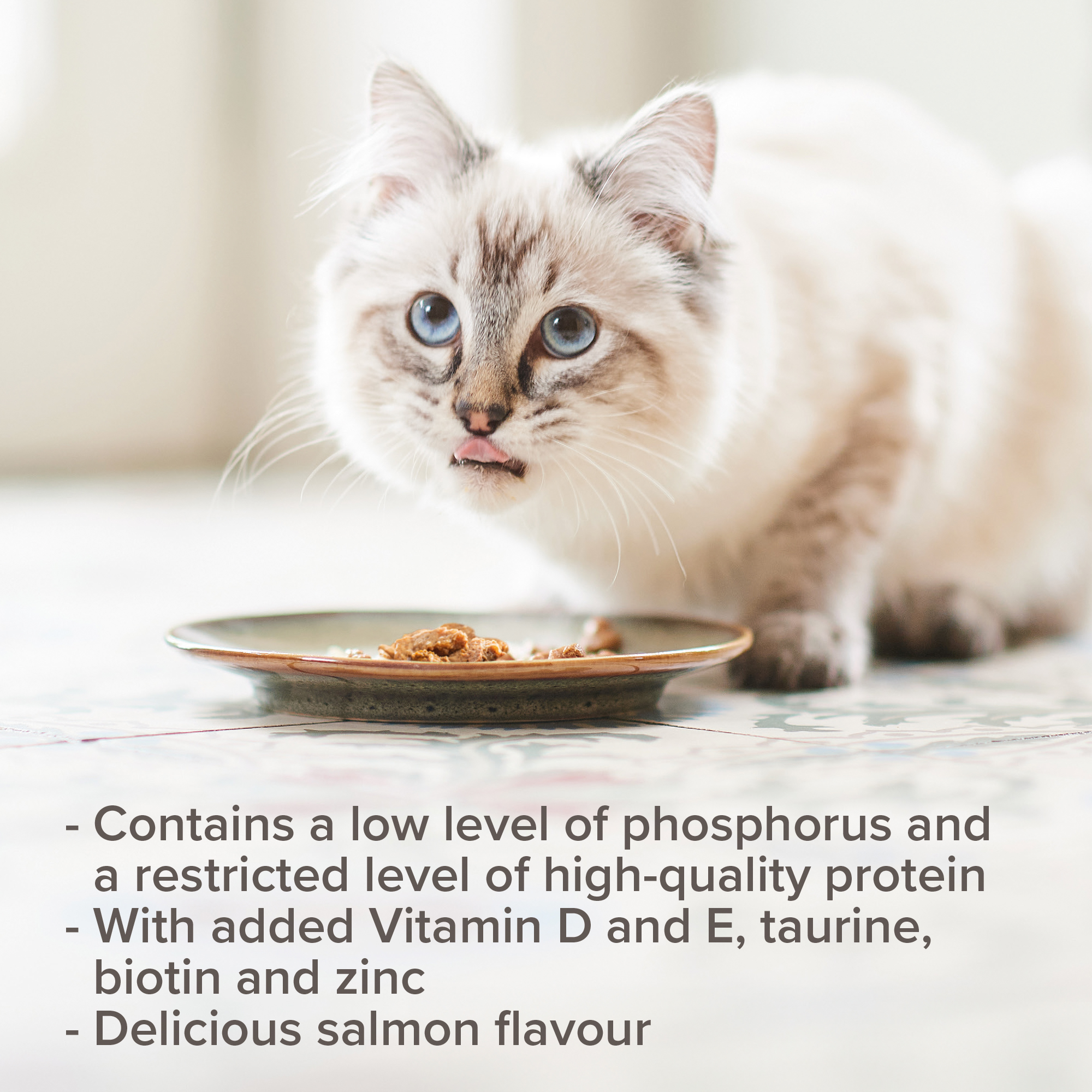 Beaphar Kidney Diet Food for Cats – Salmon